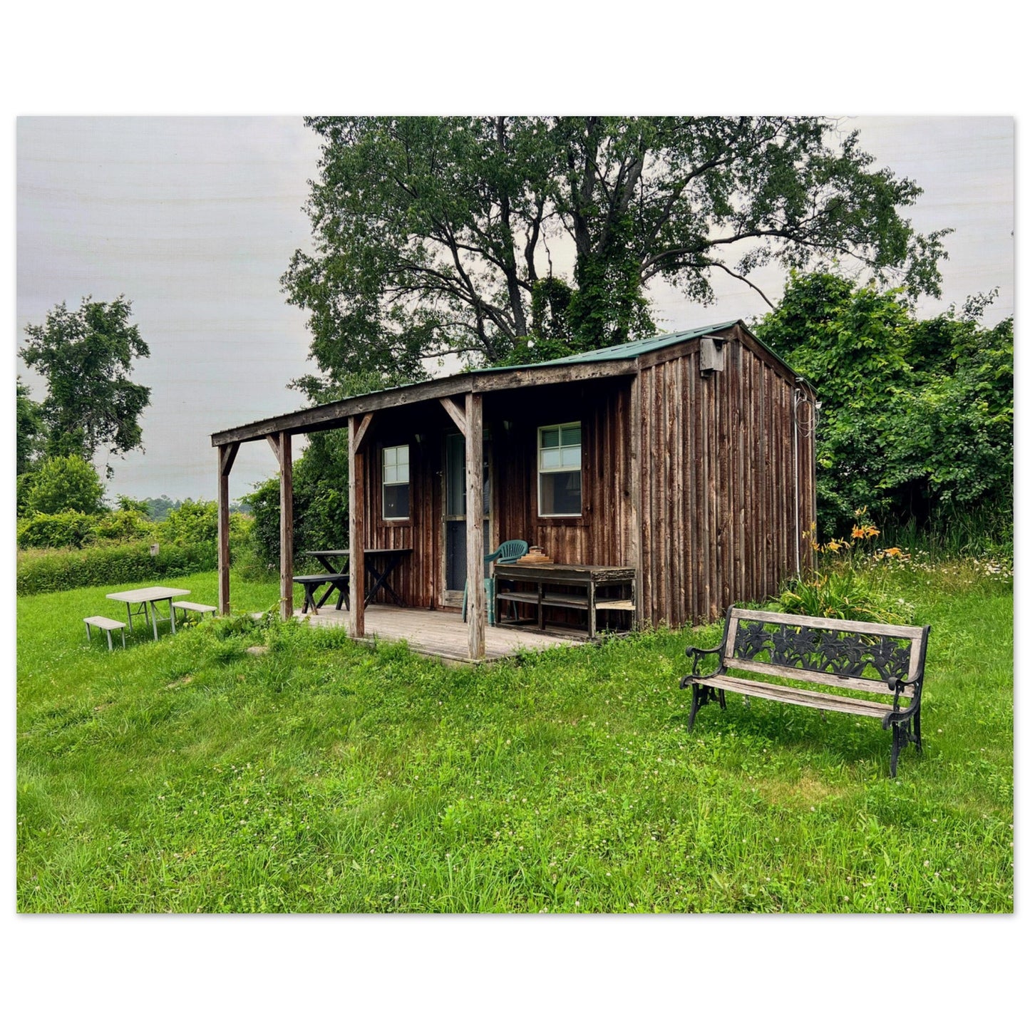 b711c707-78bd-43eb-b06c-84d22dcd2528