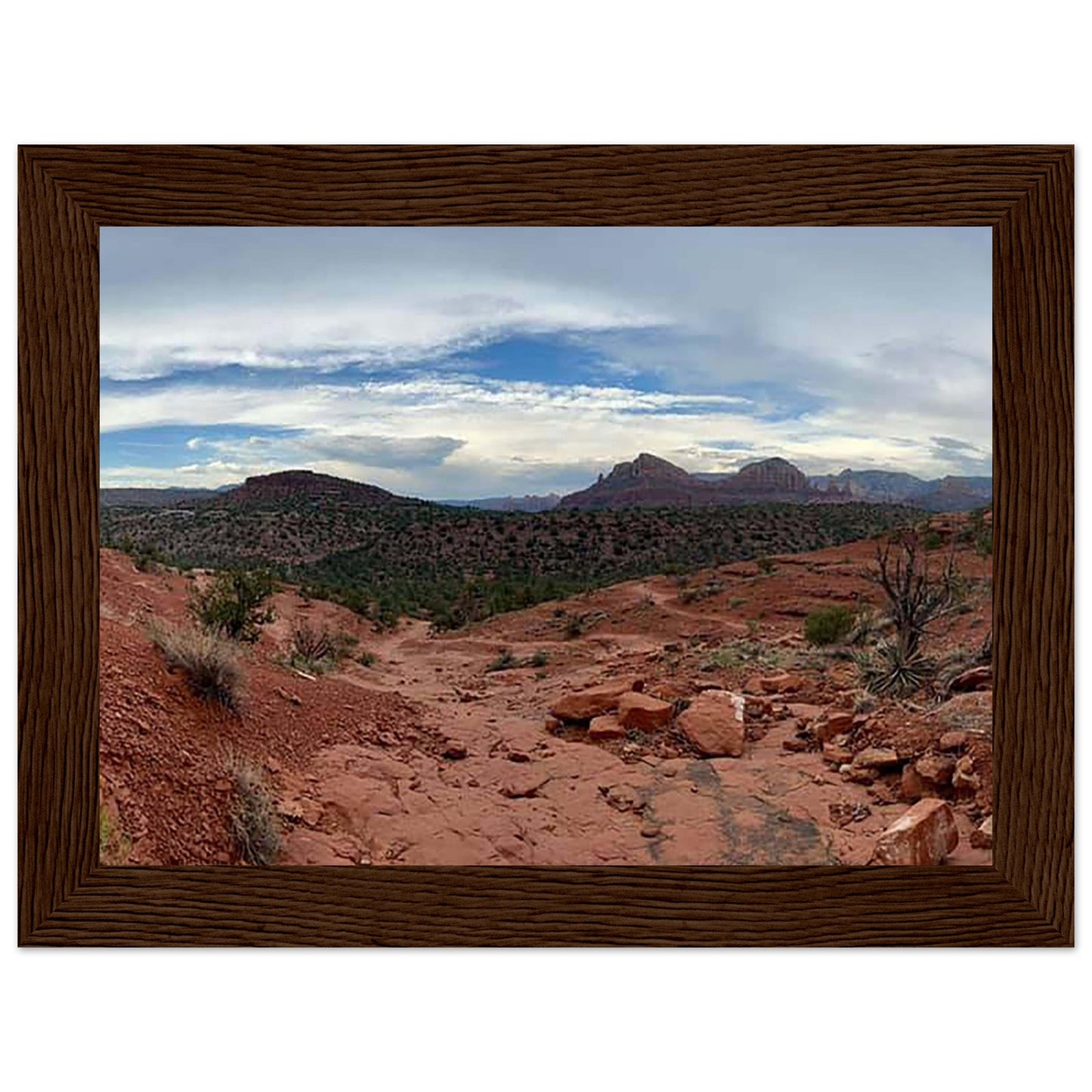 baf1c5ec-5b52-4a11-8eed-48ef68aa272a