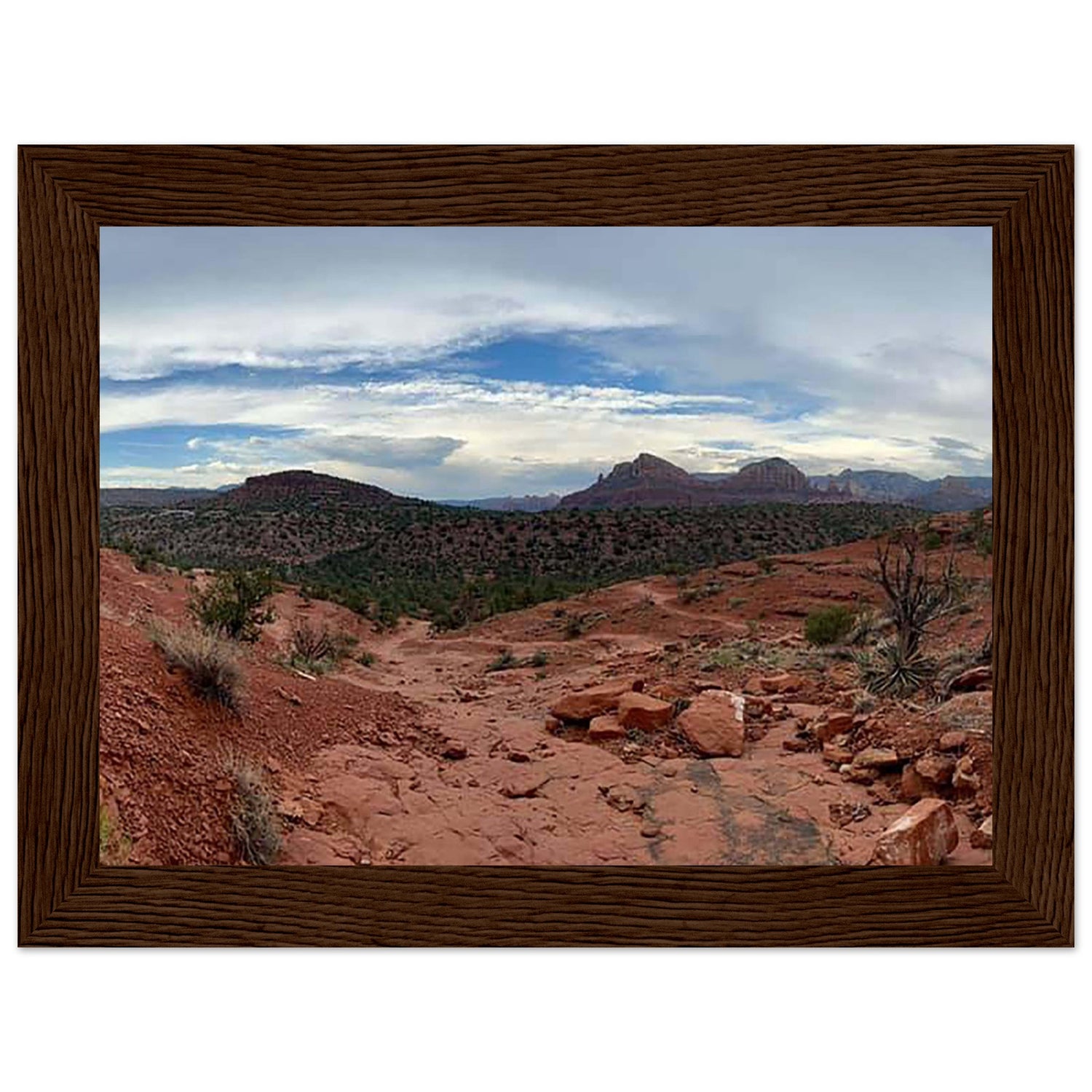 baf1c5ec-5b52-4a11-8eed-48ef68aa272a