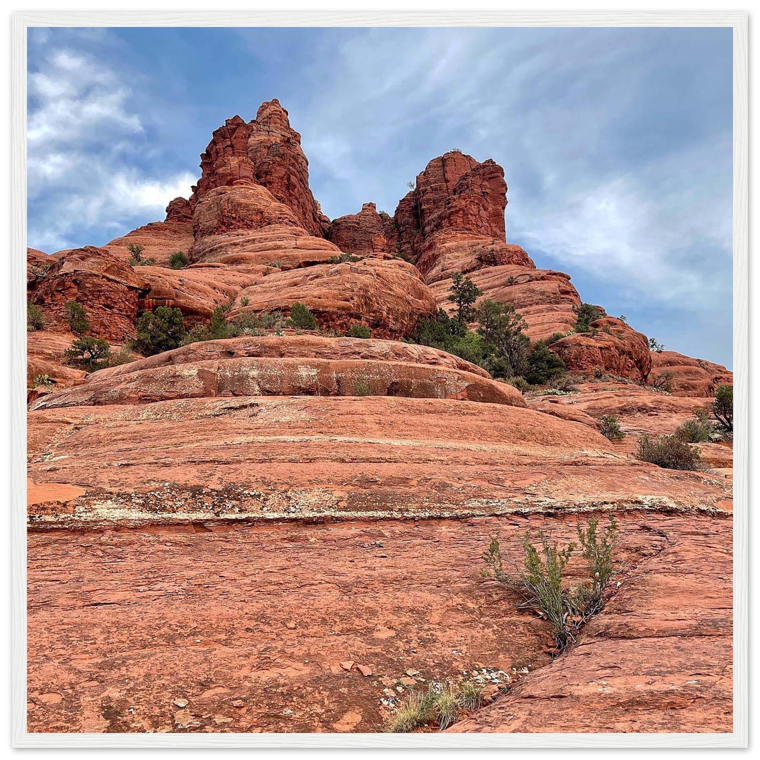 bda9260f-f3fc-481c-99dd-6d525ecf97f0