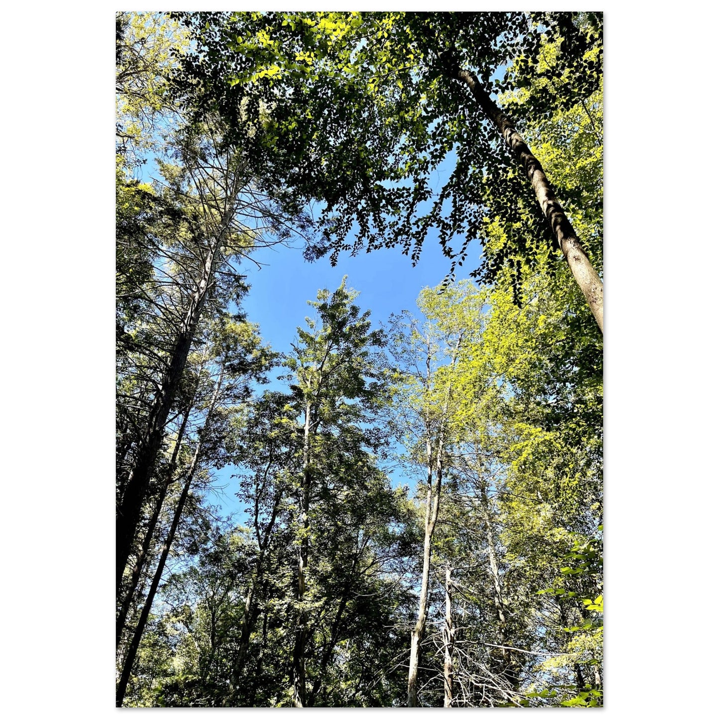 bf9961dd-7a5f-45db-8811-bca10e37fa9d