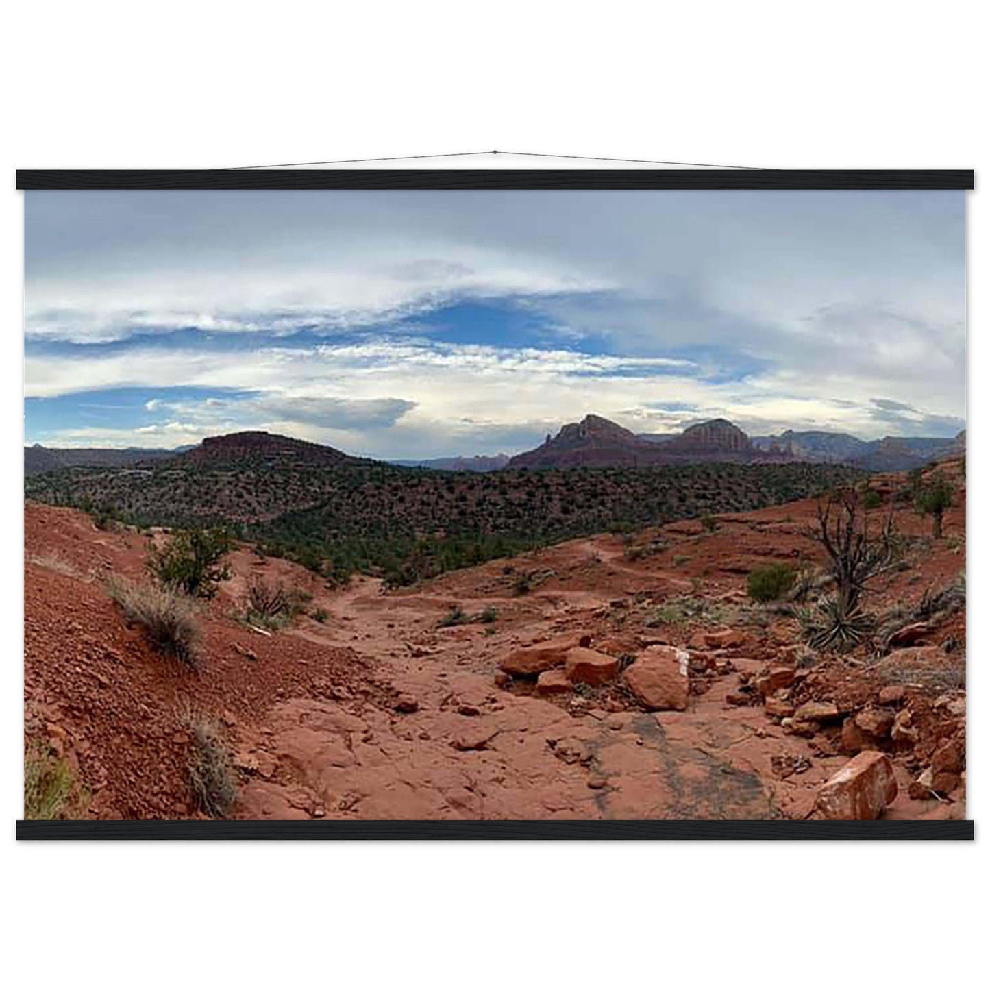 c0804af3-4ae8-421f-b2ff-bef2fba61dd3