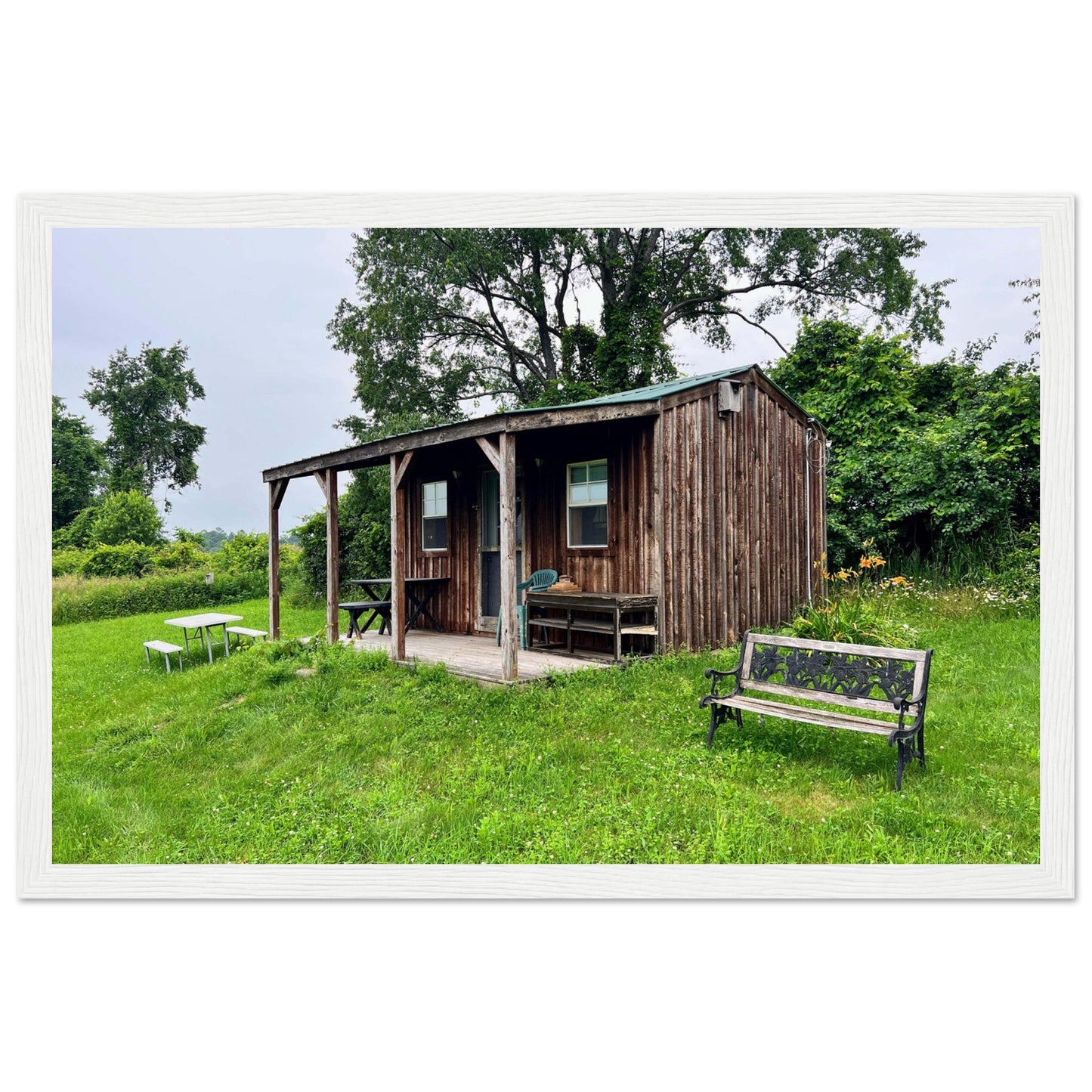 c52ce68d-be14-414e-b350-ed34e4b05b06