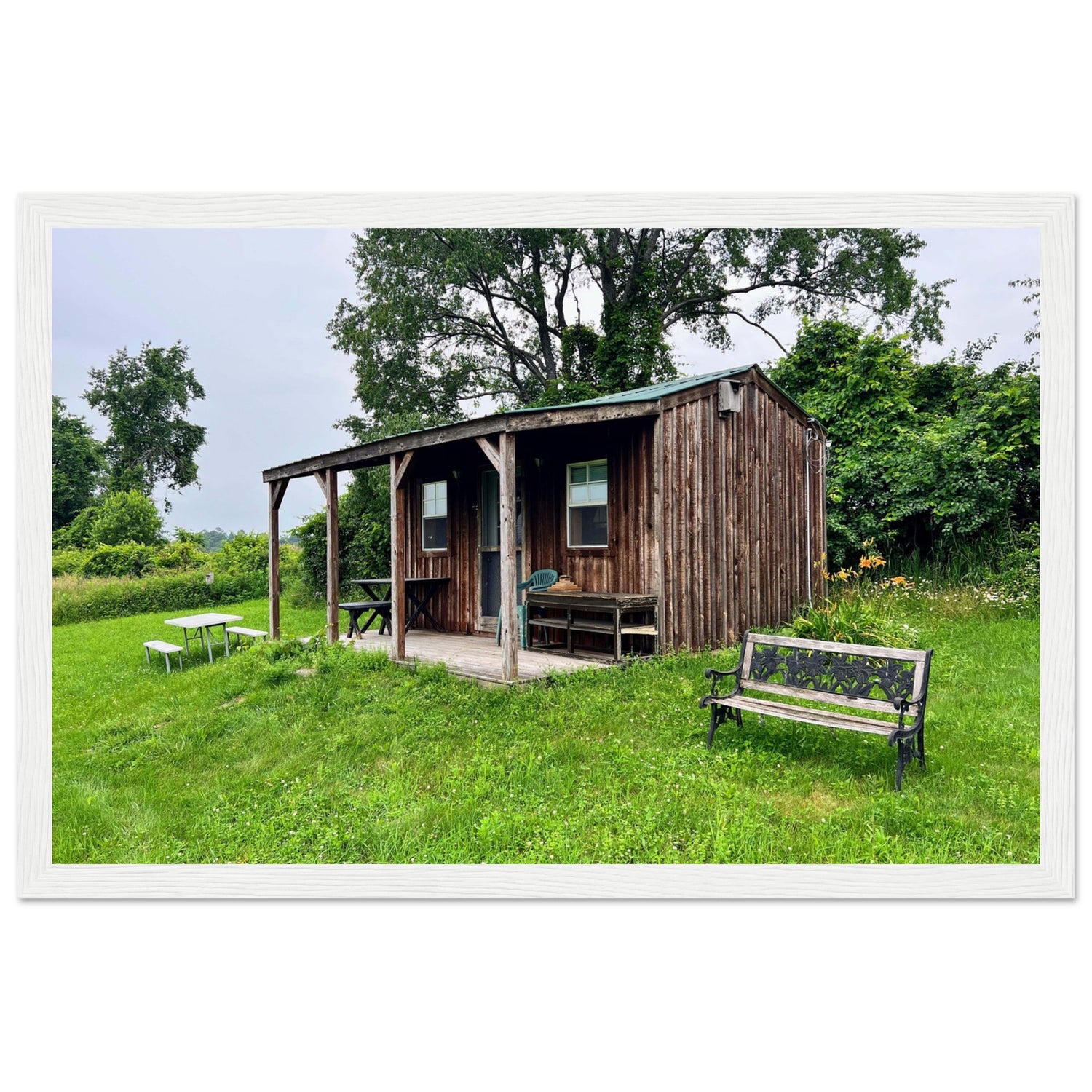 c52ce68d-be14-414e-b350-ed34e4b05b06