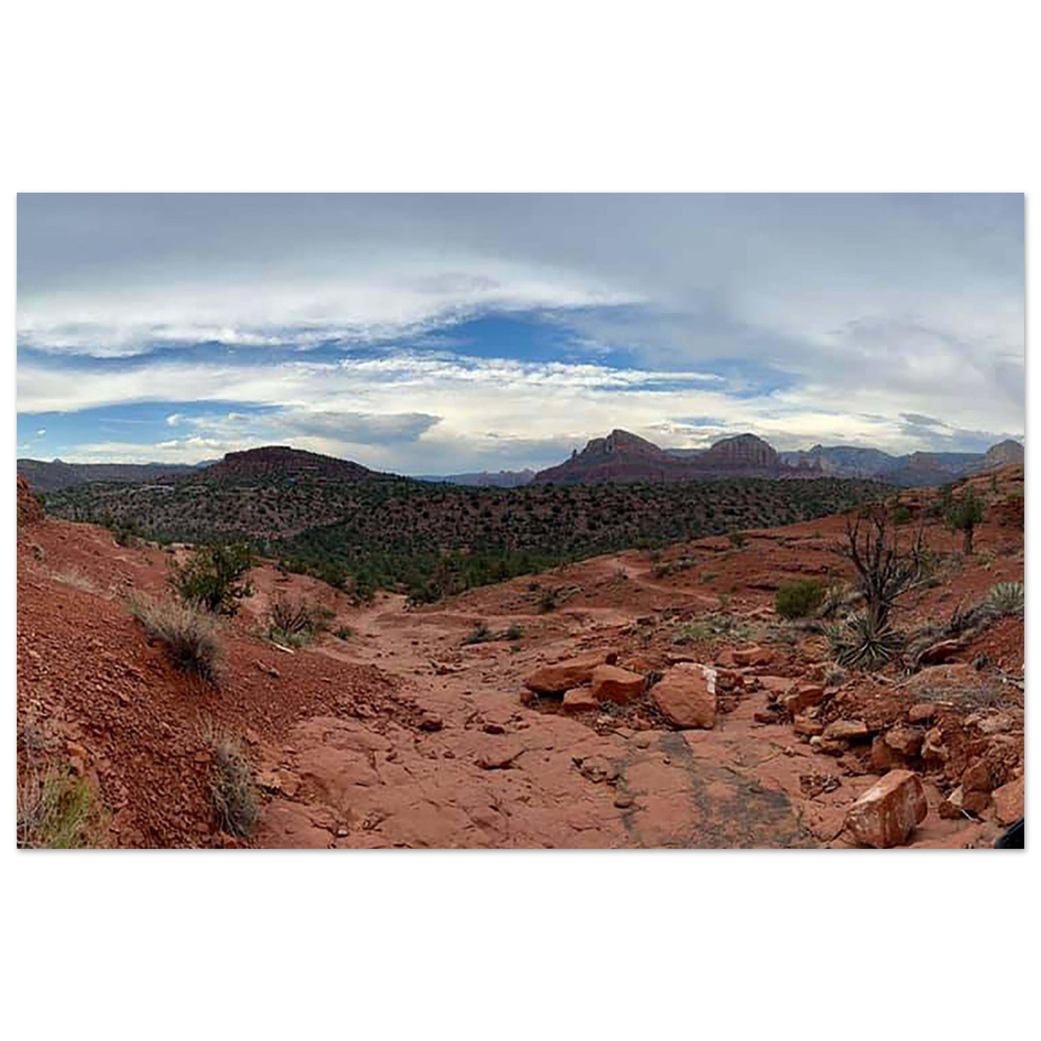 c77075c1-4263-4676-b314-b9b6b31a56cb