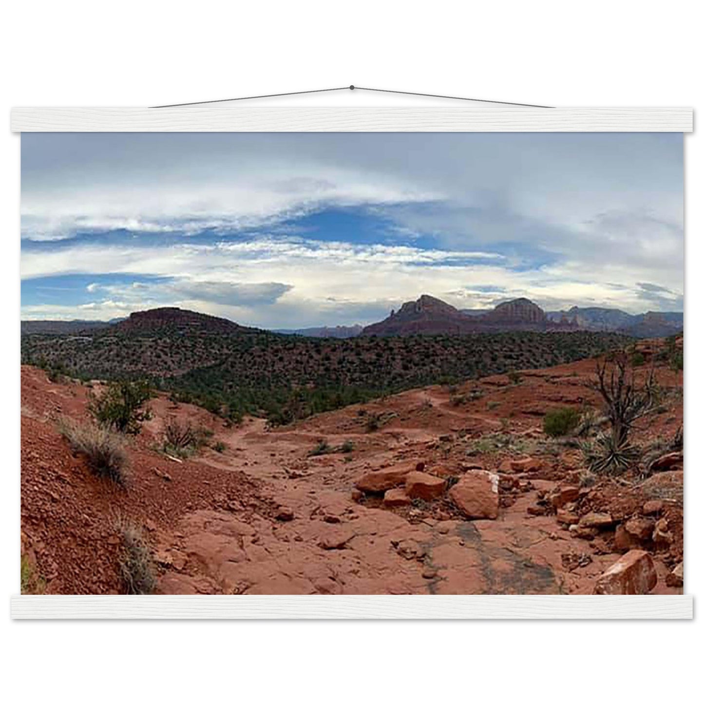 c889e9d1-7f2c-4654-8dcc-e01946f16ad4