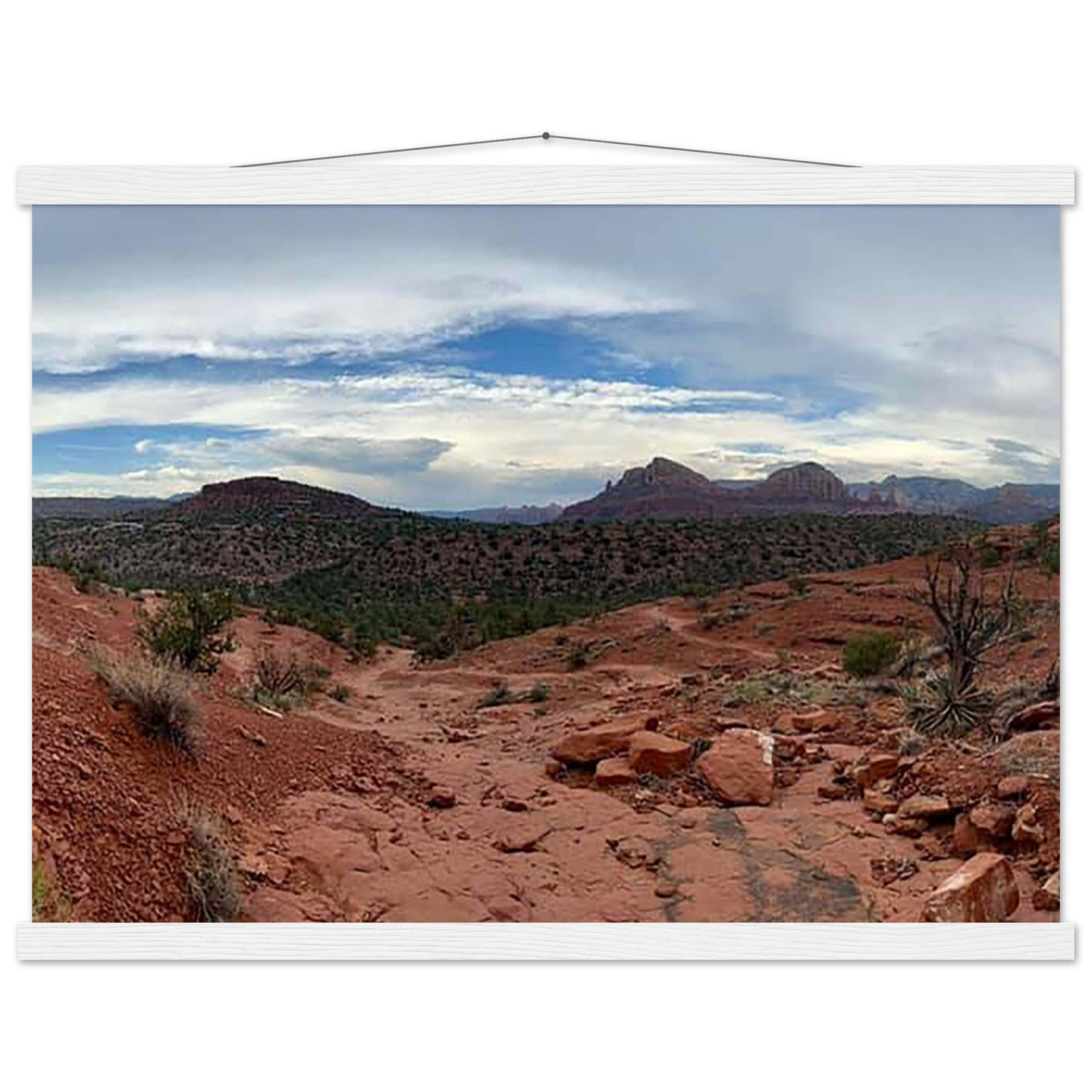 c889e9d1-7f2c-4654-8dcc-e01946f16ad4