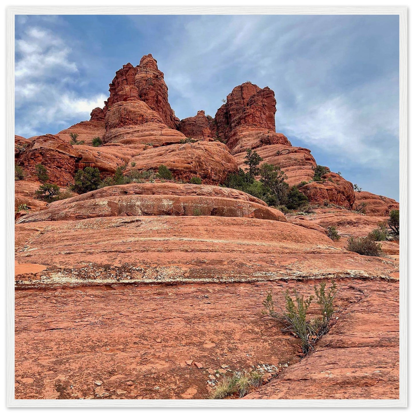 ca1d29f1-dff5-49cd-845c-45f0b9f6f6a3