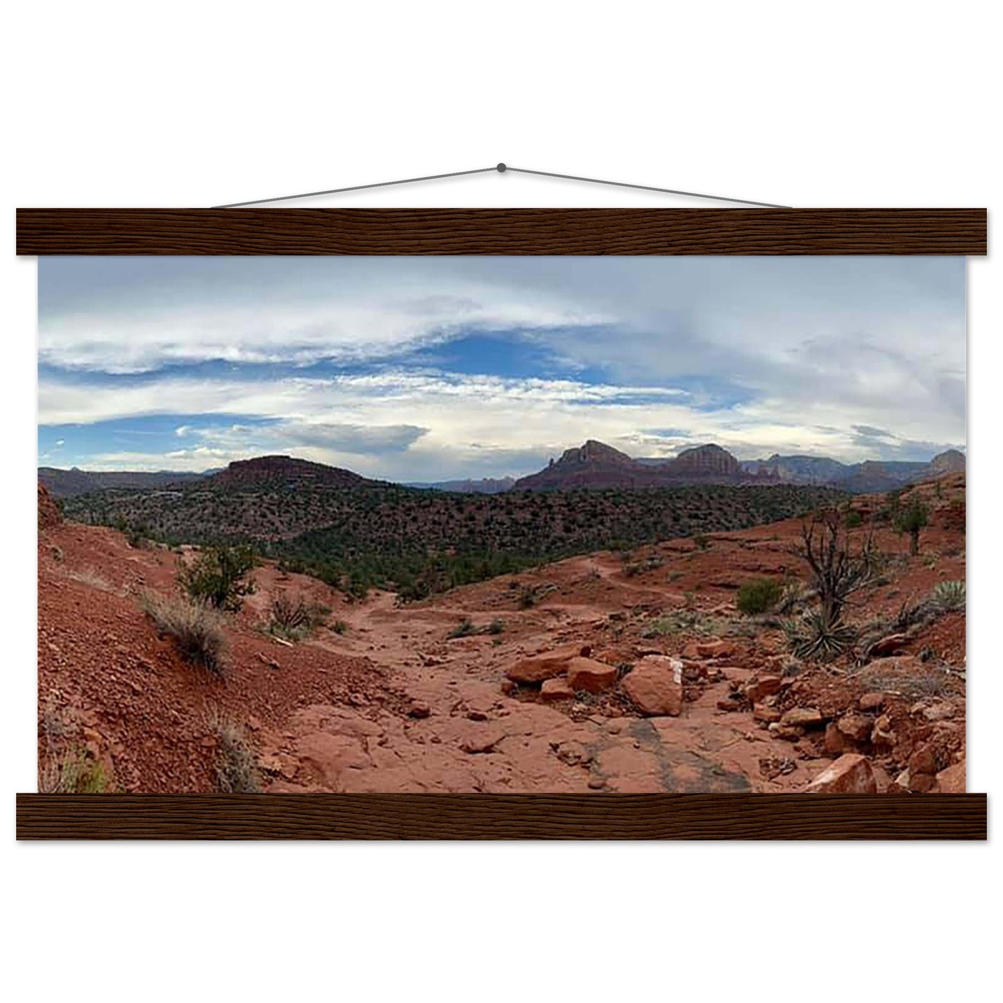 cf02df74-03bd-4dde-9b96-7aad76ec46aa