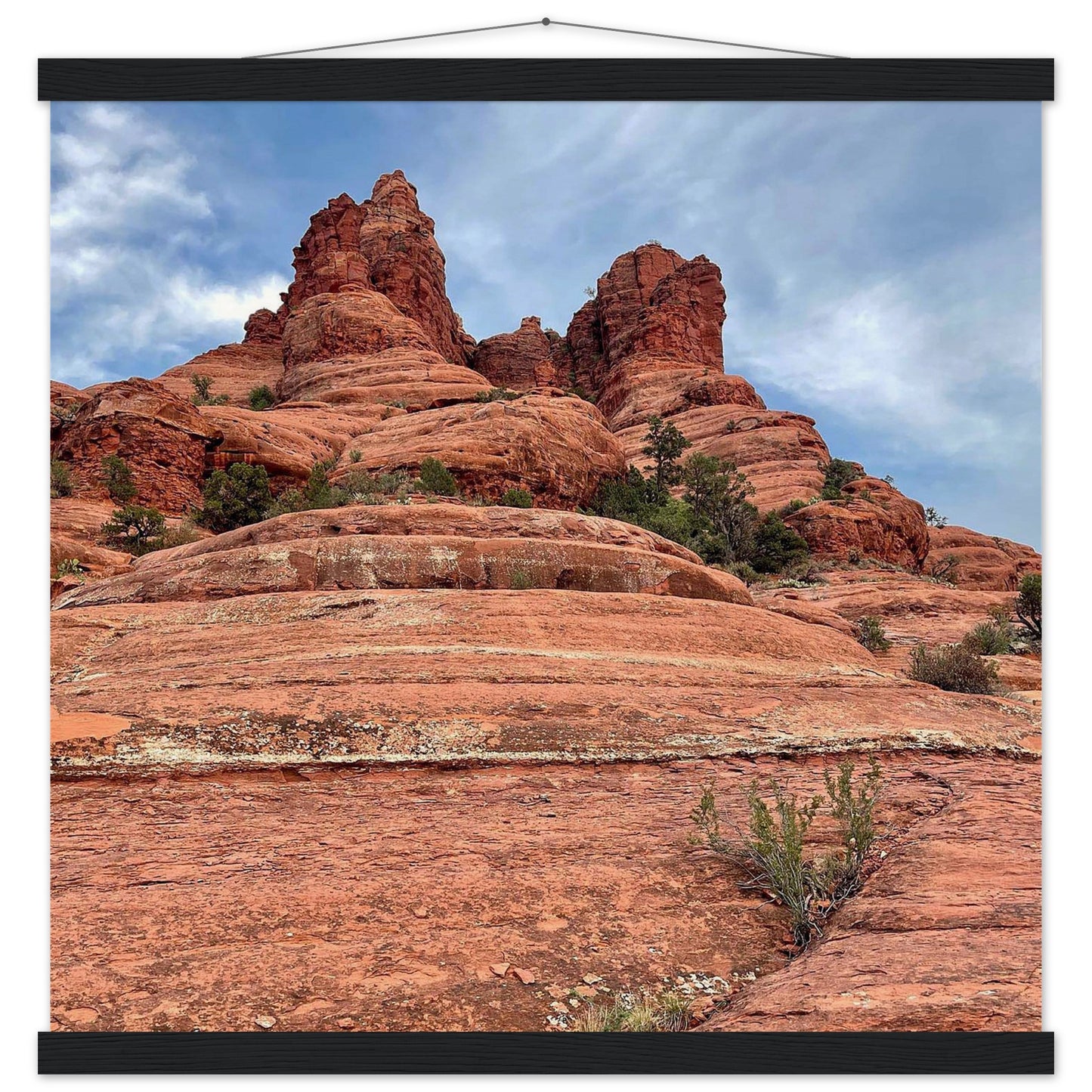 d272a85a-19e6-4899-9a9e-3d384f09bd43