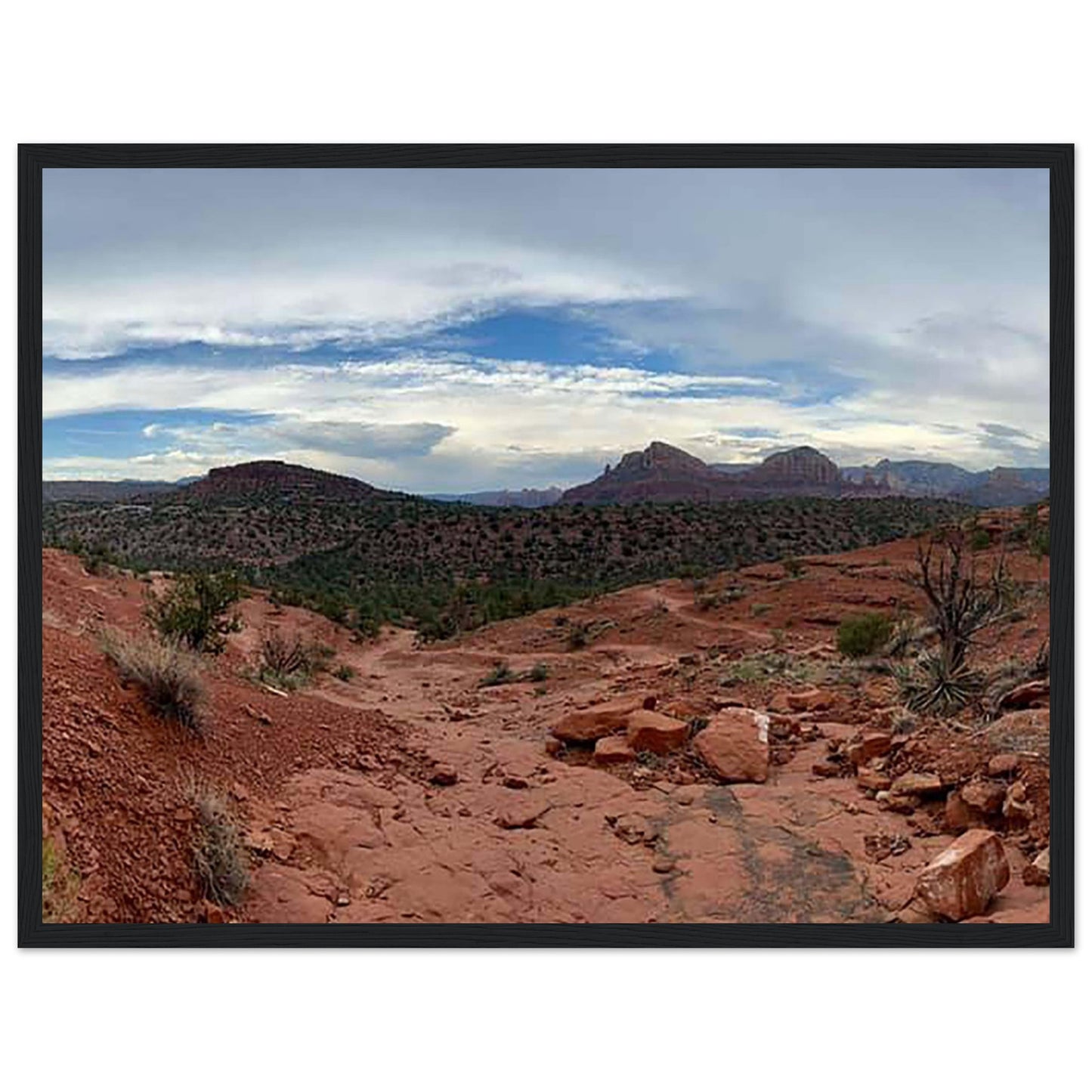 d5240040-0672-45e6-ba9e-03cc554e9c9d