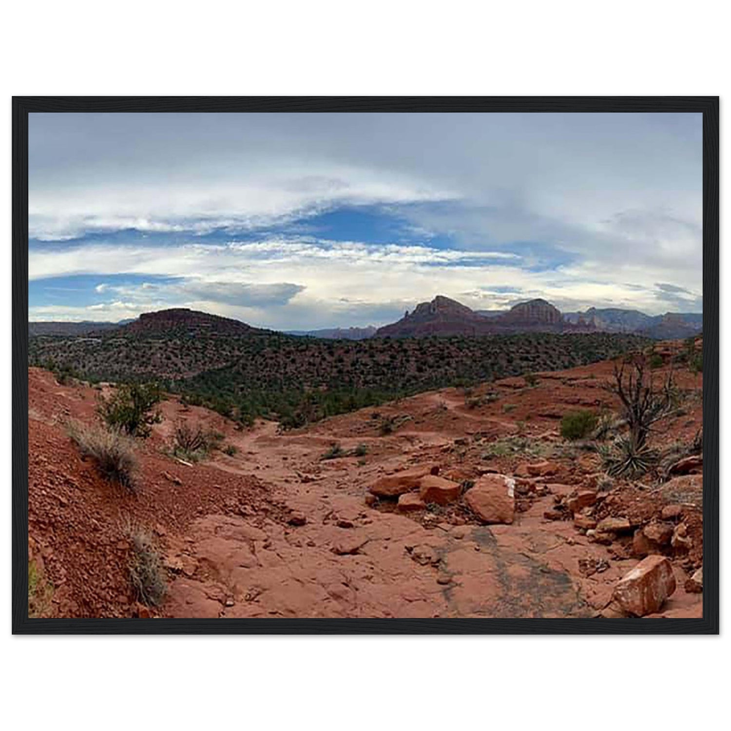 d5240040-0672-45e6-ba9e-03cc554e9c9d