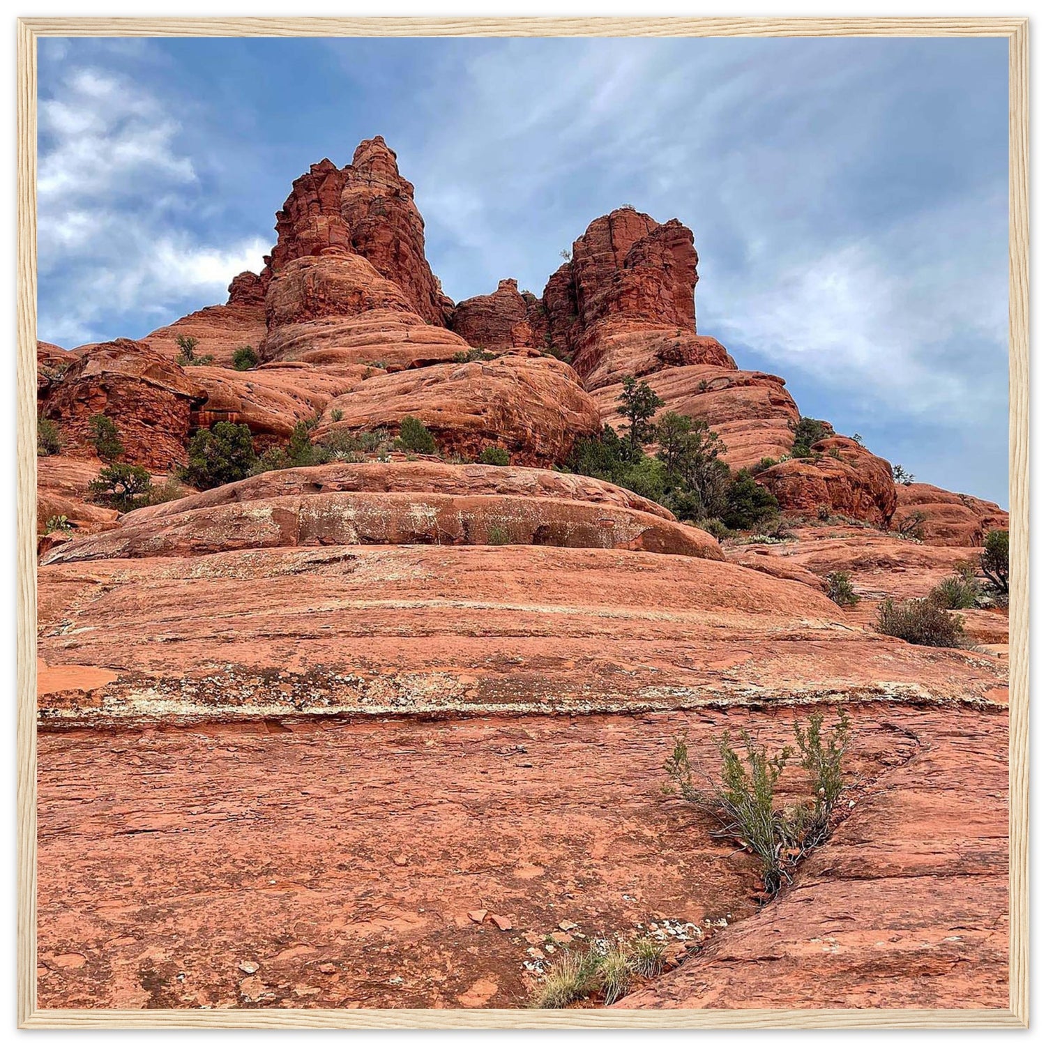 d7a77dbc-b054-43ba-9c4f-6bf9857d7584