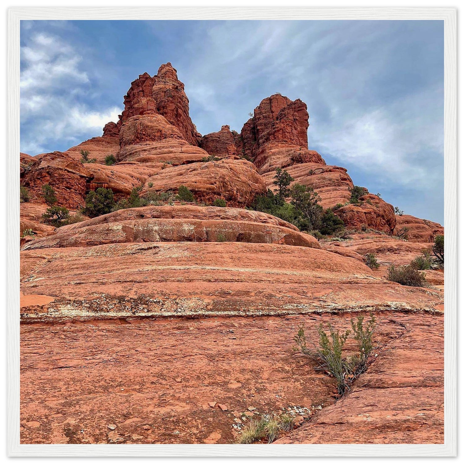 d8bc3ff0-9261-4153-ad9b-53e8e4b146ec