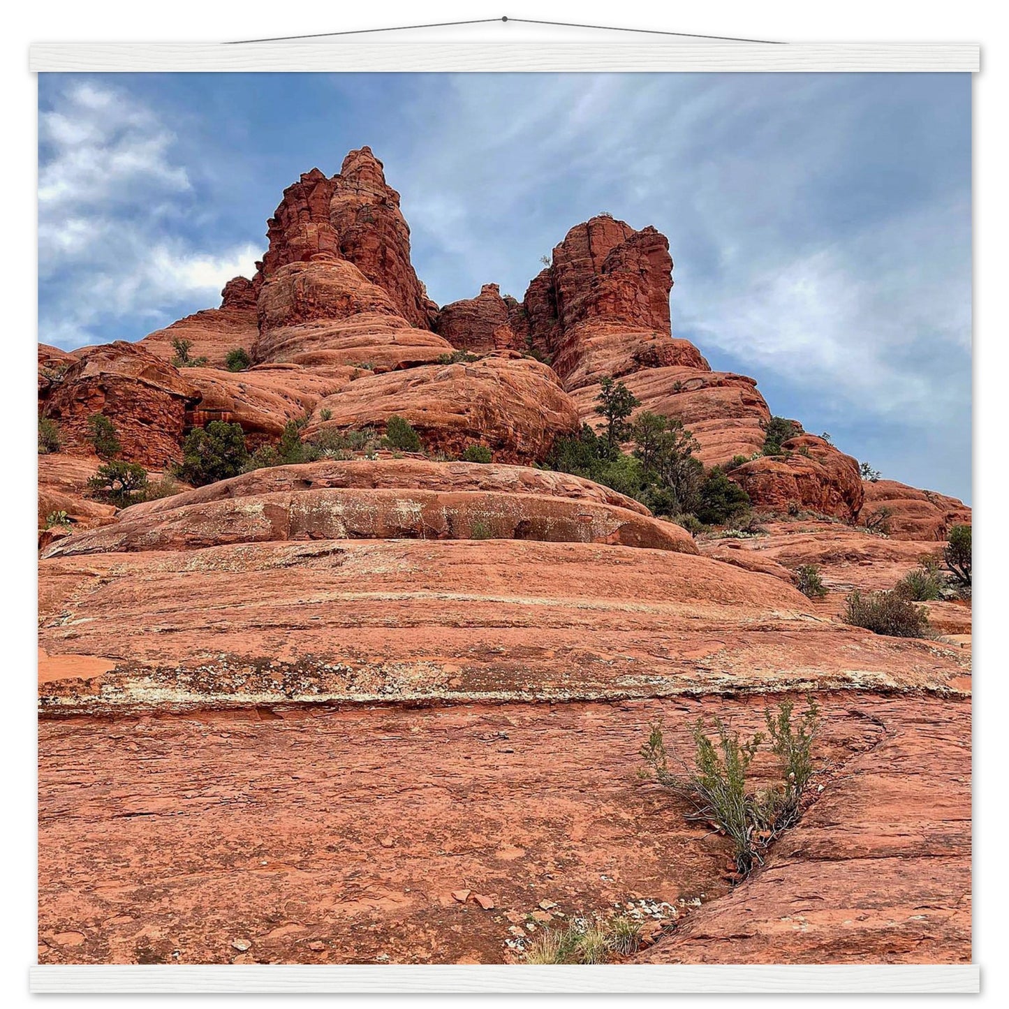 dc753556-8f48-4e2d-b33e-975b17d7c34c