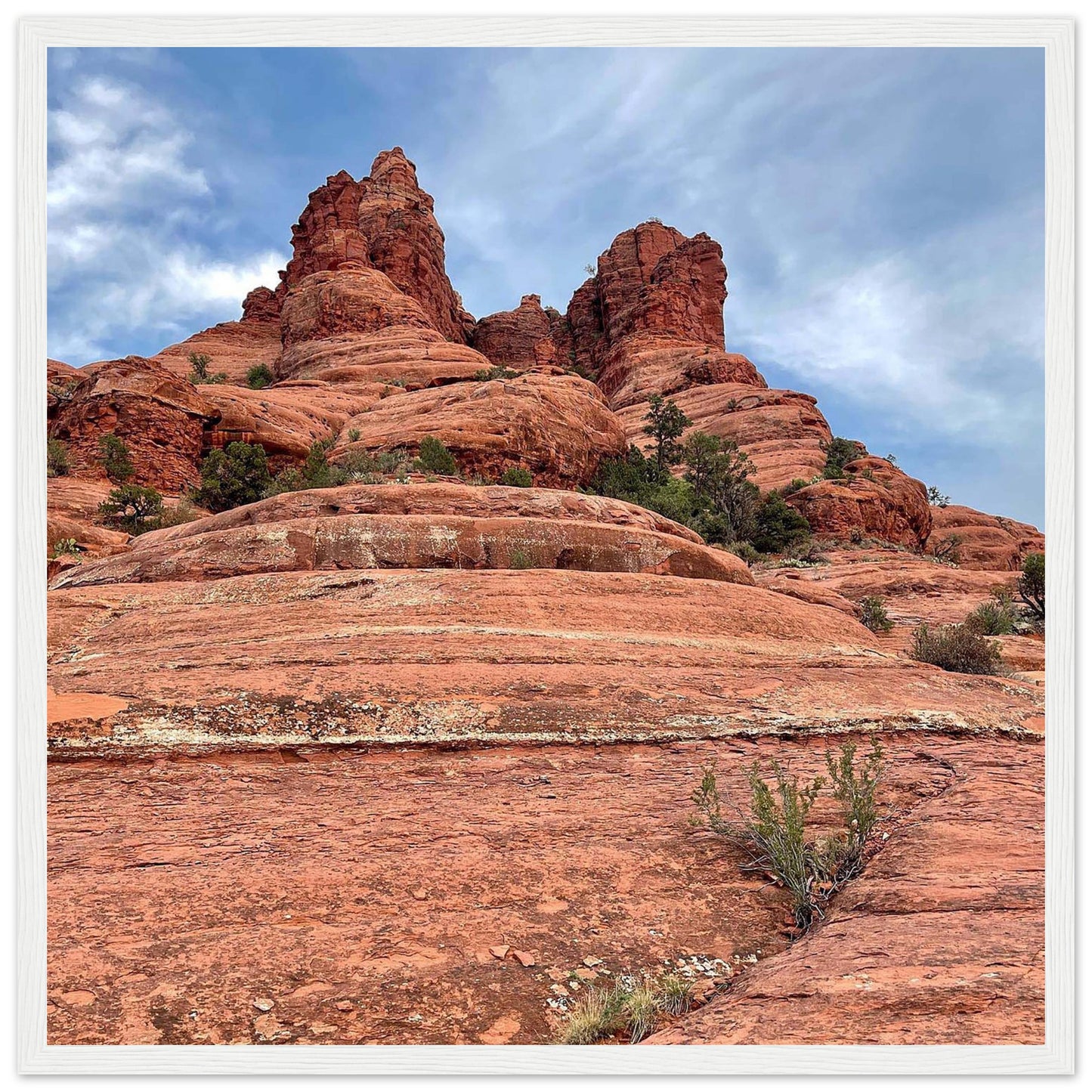 de5a67c4-6a43-43bd-a563-bb940b9a58ae