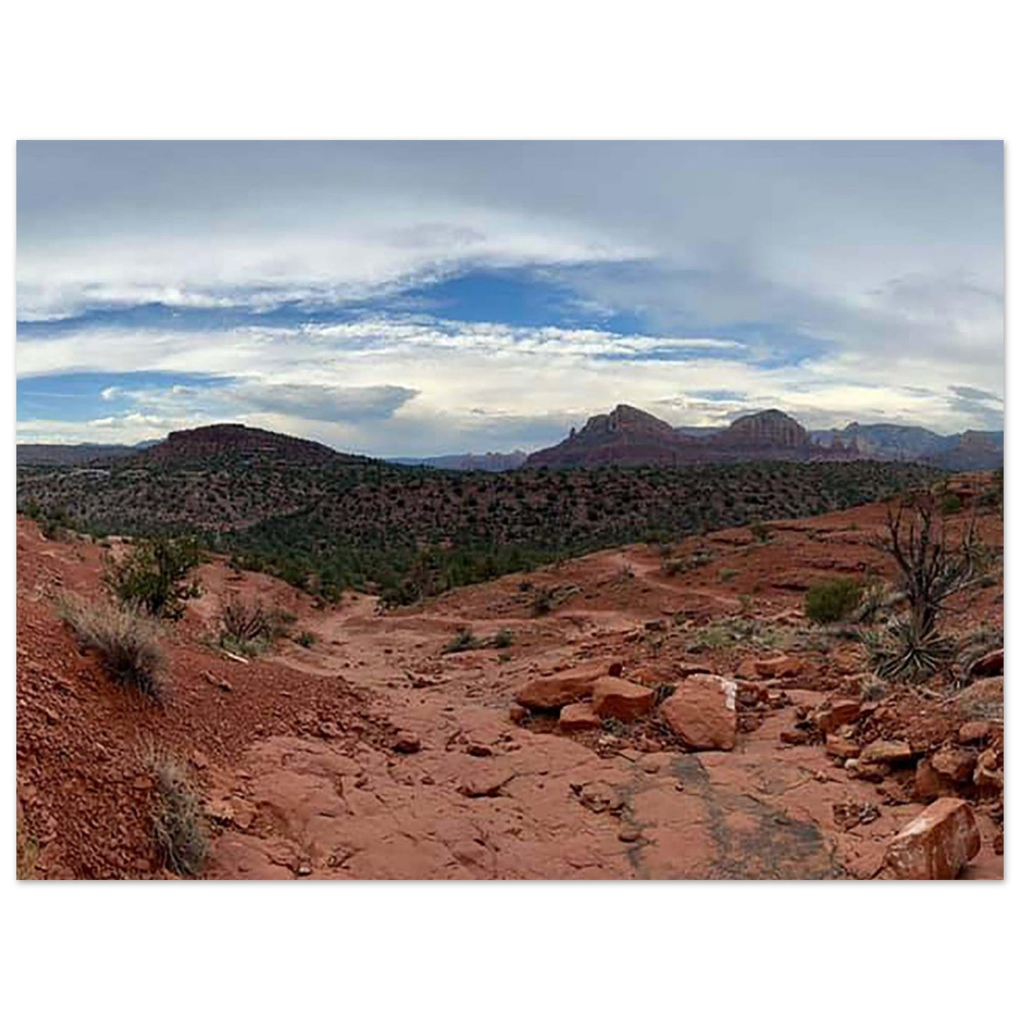 e90bcc20-9075-4864-9e47-cdf66630deed