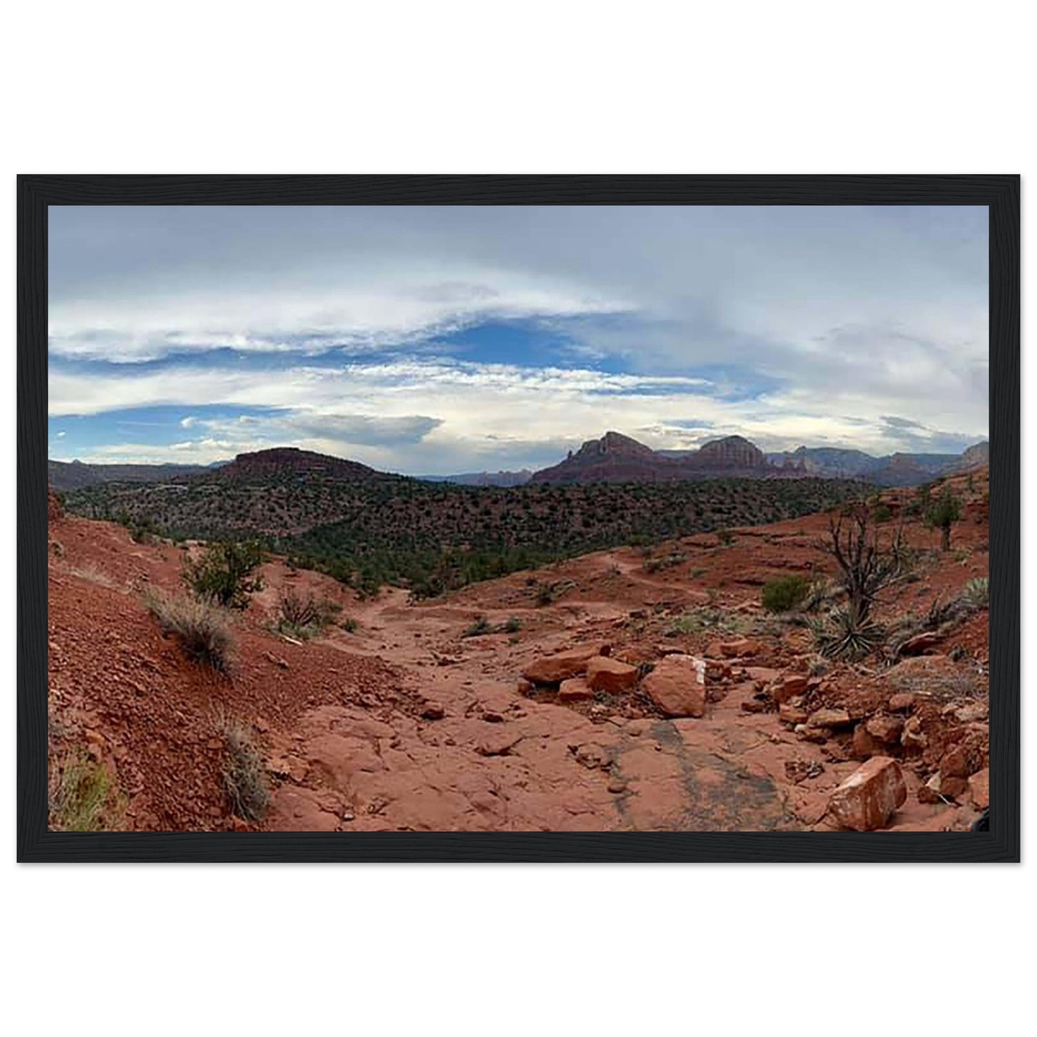 eb16ed95-7b83-4586-8319-bdad77883604