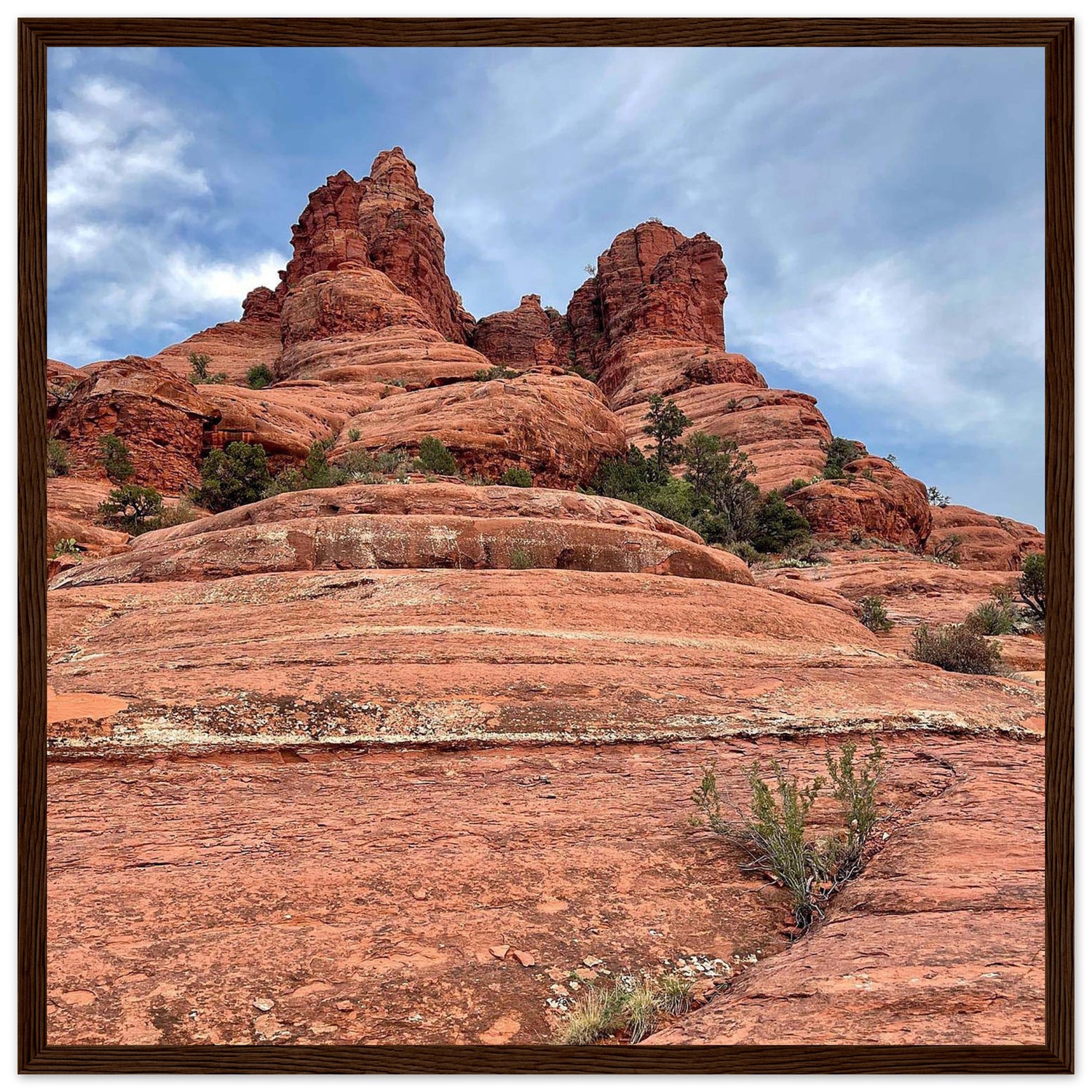 f8c8bb79-b432-4caa-95b5-ec93f311baba