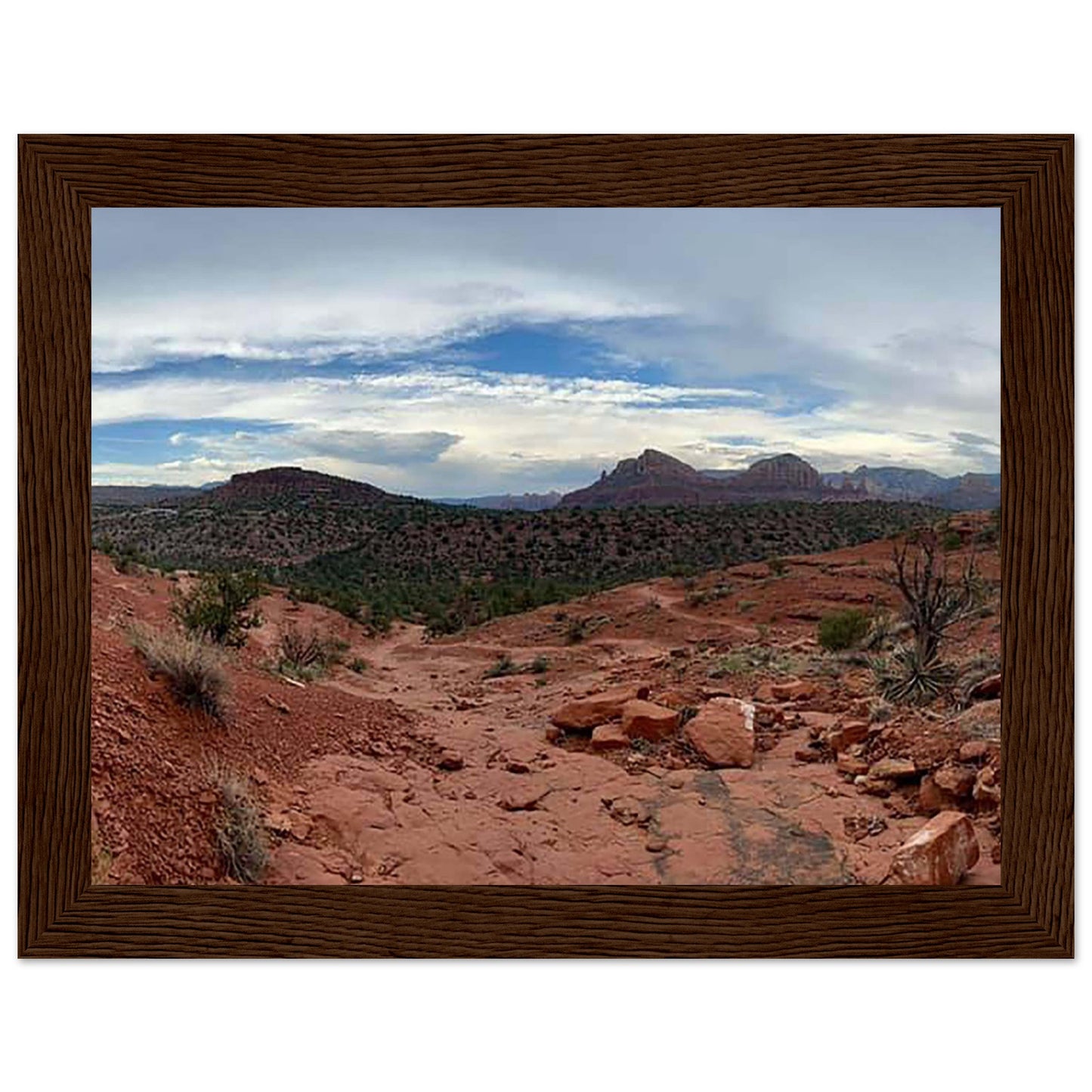 fe040a3c-13b2-4fb4-a9dd-d2b80e98ca20