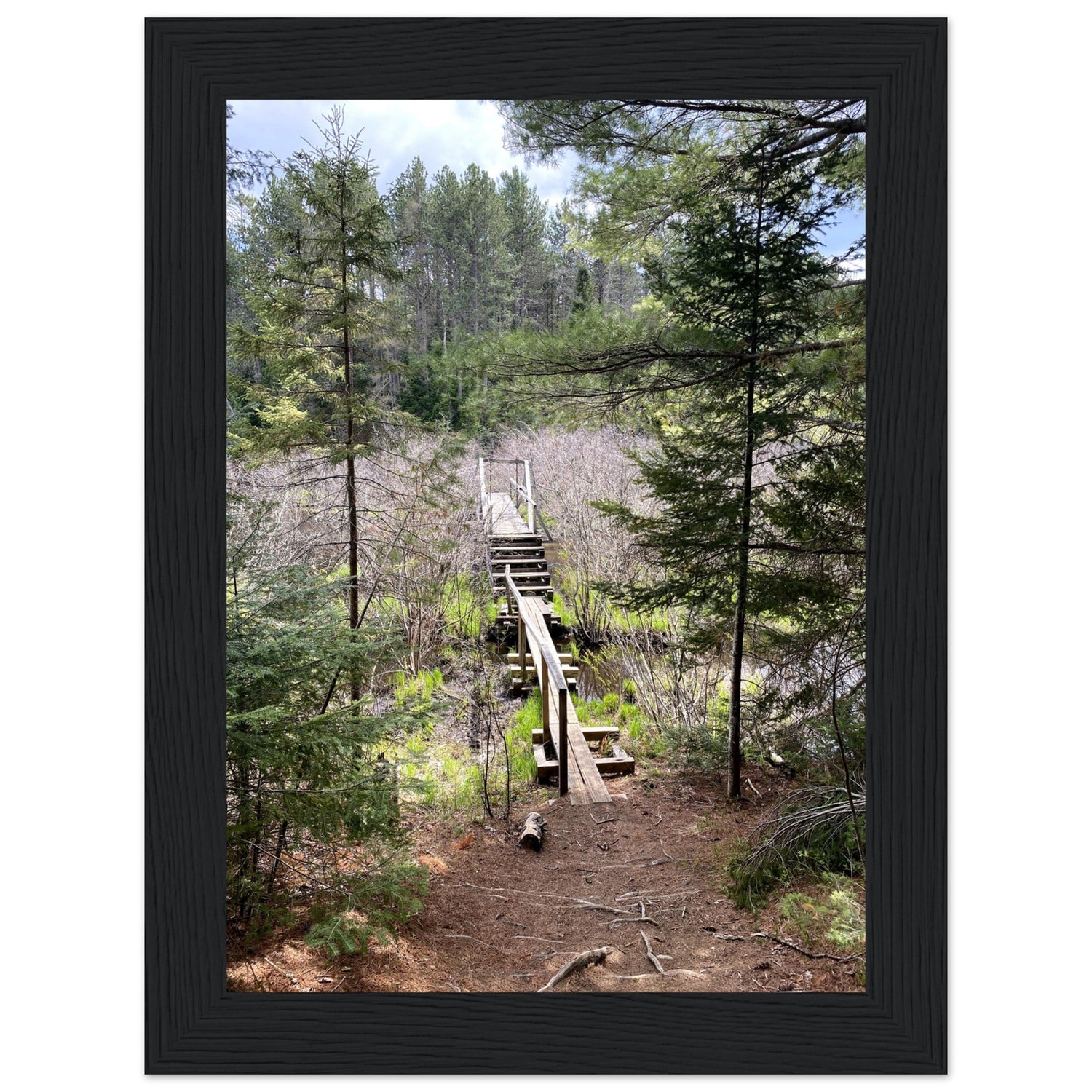 ffa910e4-b2d1-4b7a-aad2-1cd644637e4a