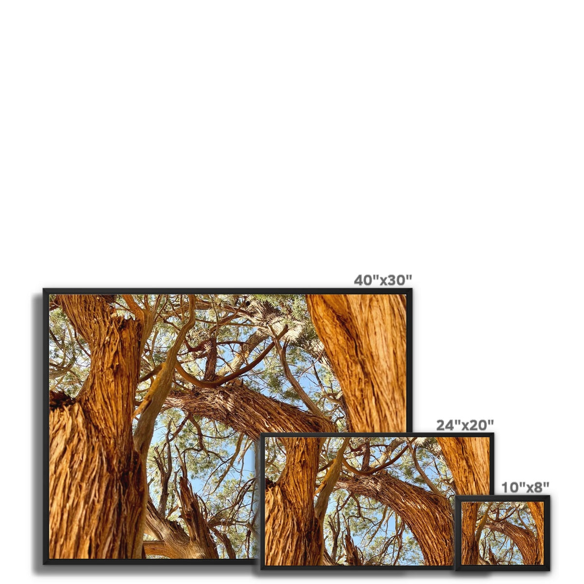 The Soul Tree Framed Canvas
