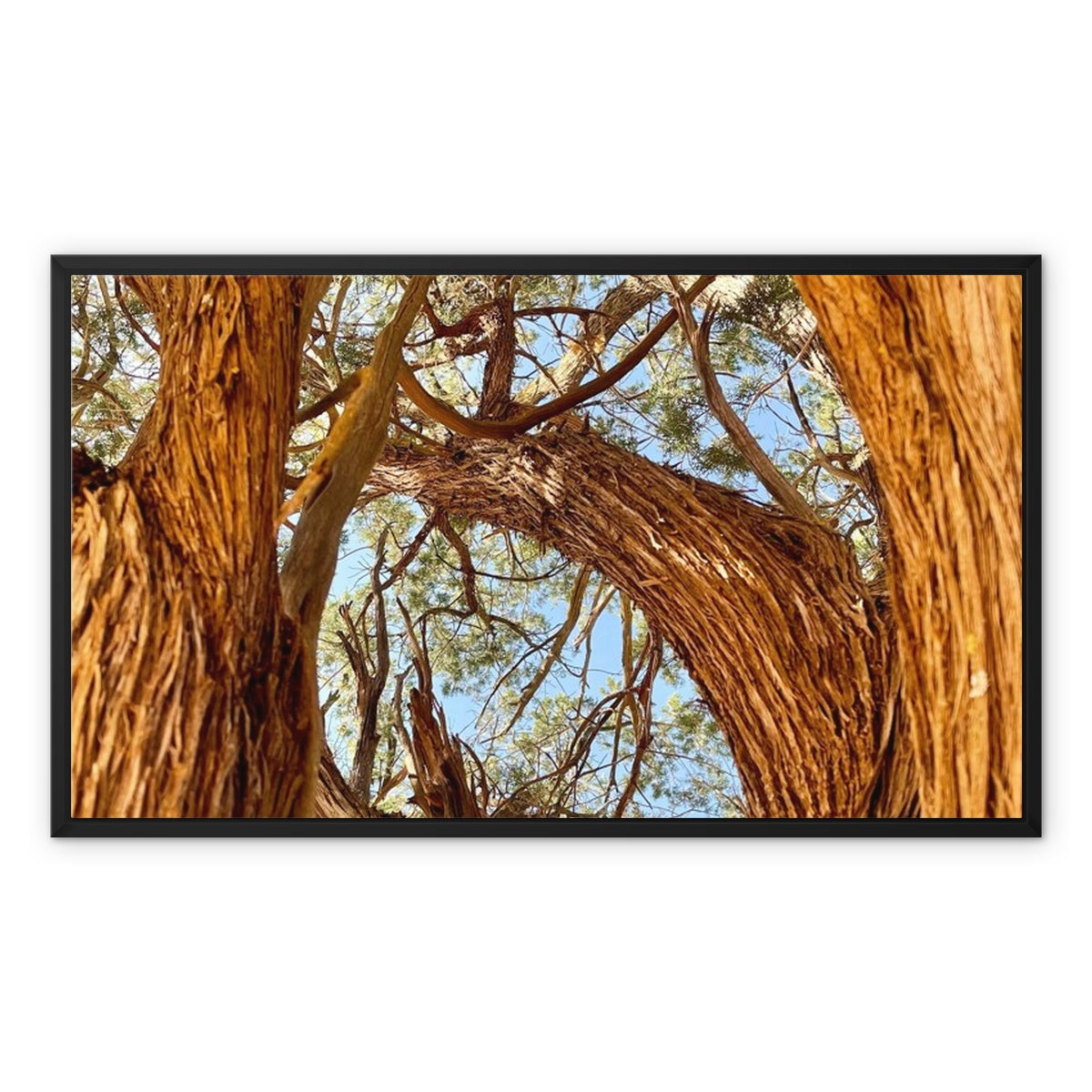 The Soul Tree Framed Canvas