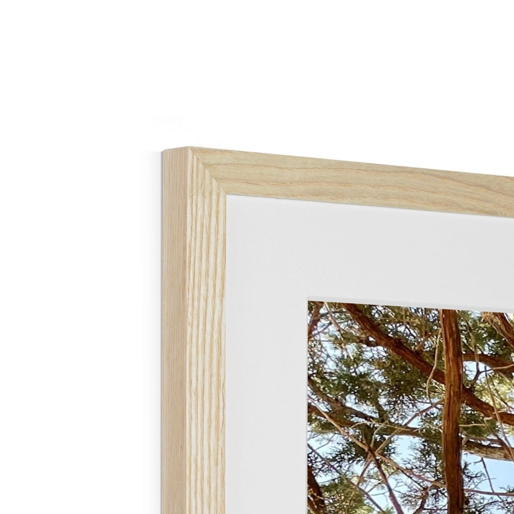 The Soul Tree Framed & Mounted Print