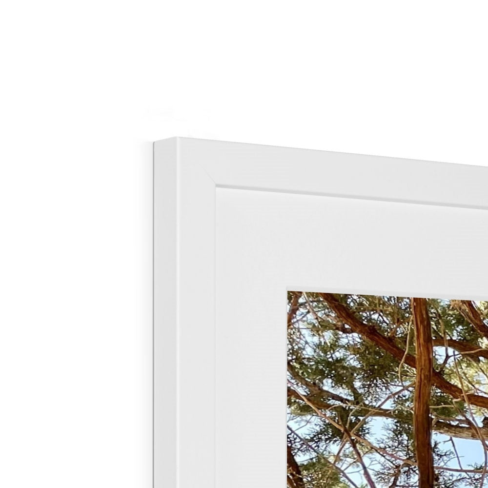 The Soul Tree Framed & Mounted Print