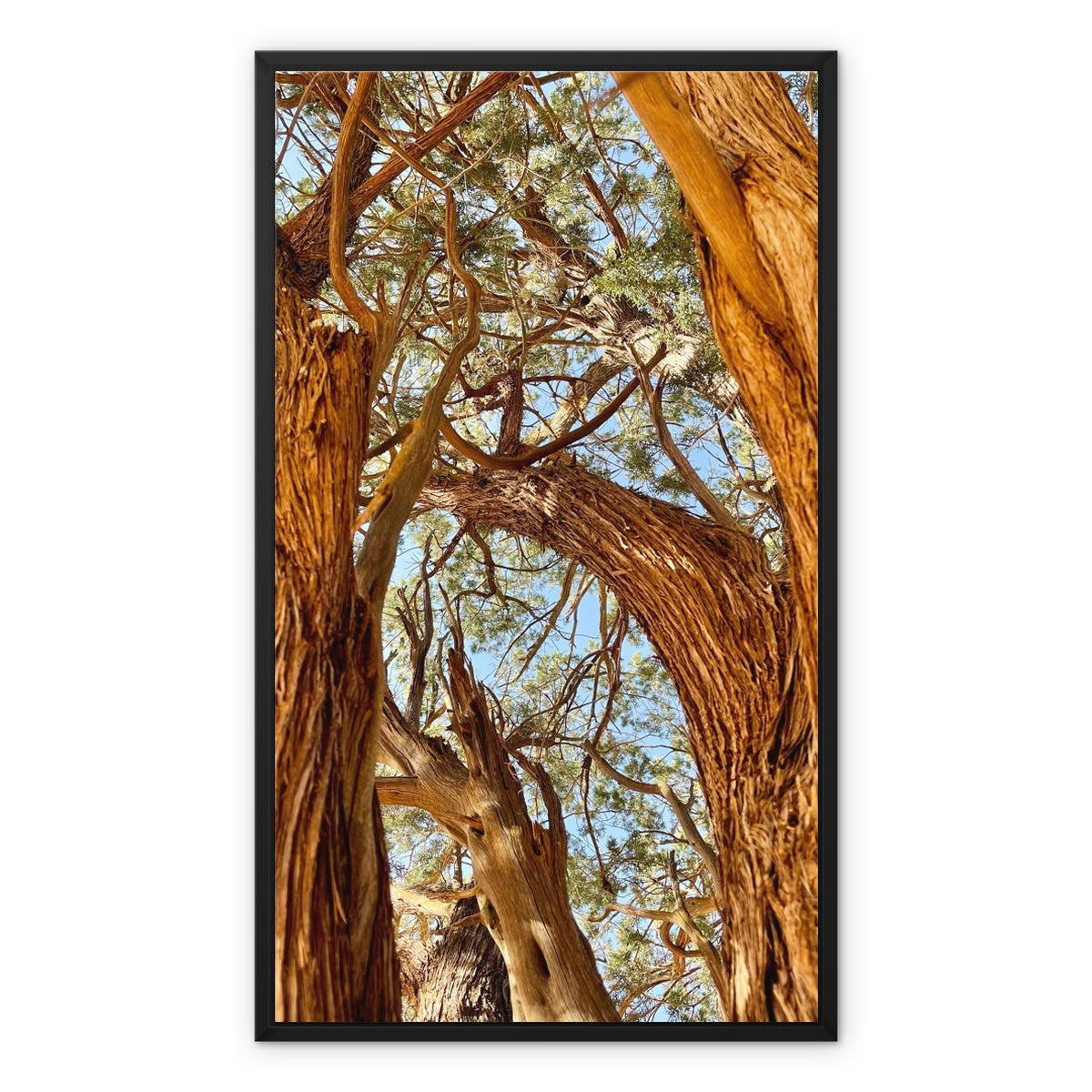 The Soul Tree Framed Canvas