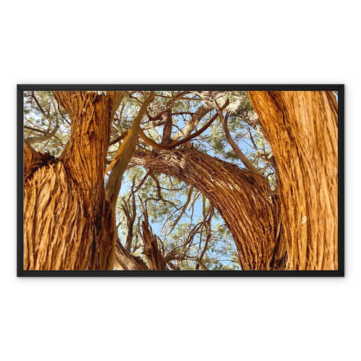 The Soul Tree Framed Canvas