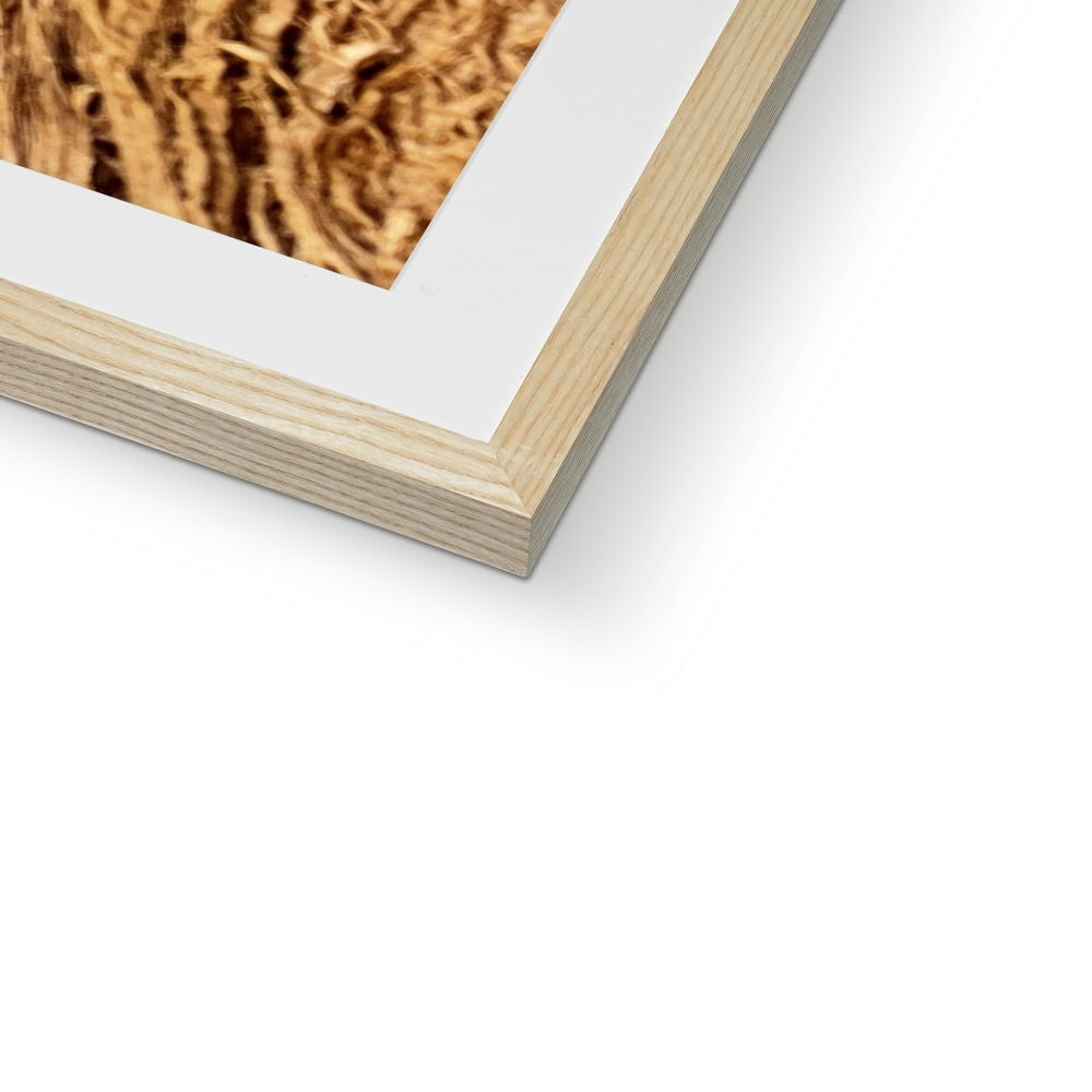 The Soul Tree Framed & Mounted Print