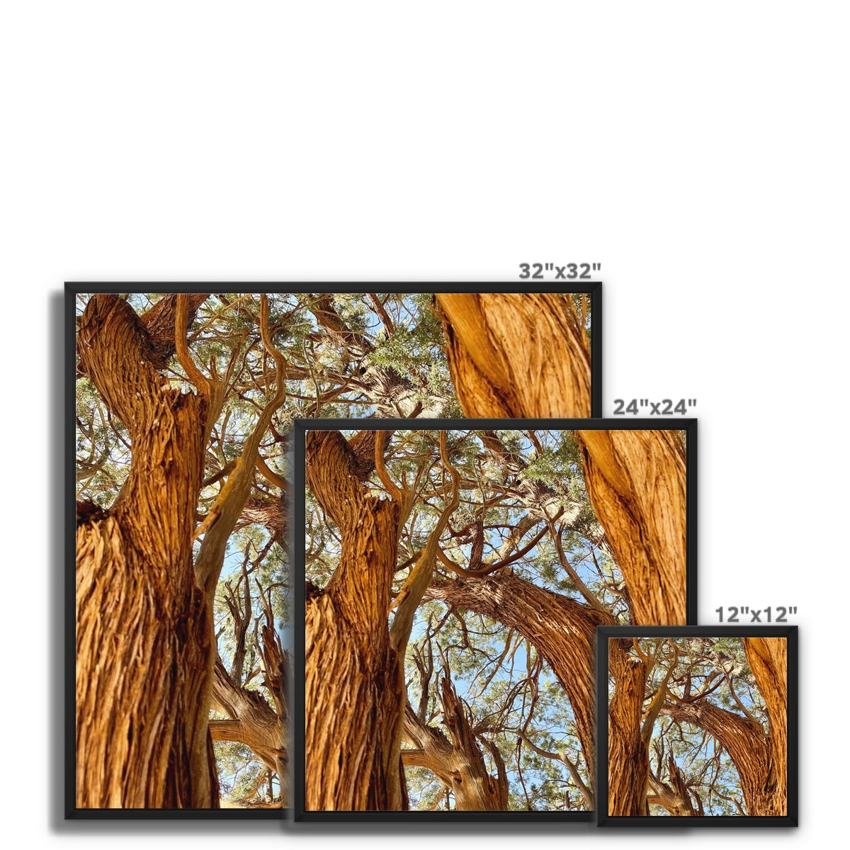 The Soul Tree Framed Canvas