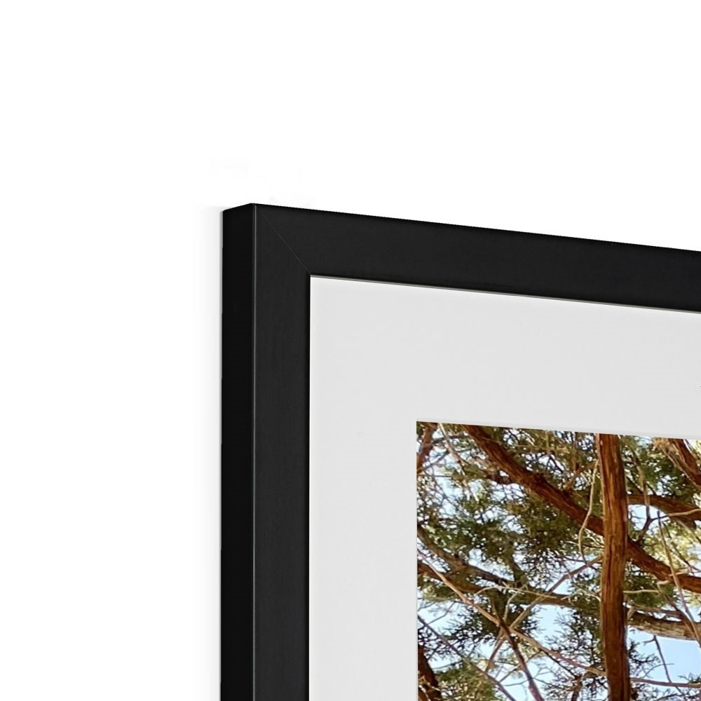 The Soul Tree Framed & Mounted Print