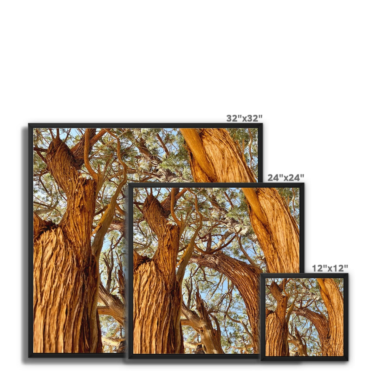 The Soul Tree Framed Canvas