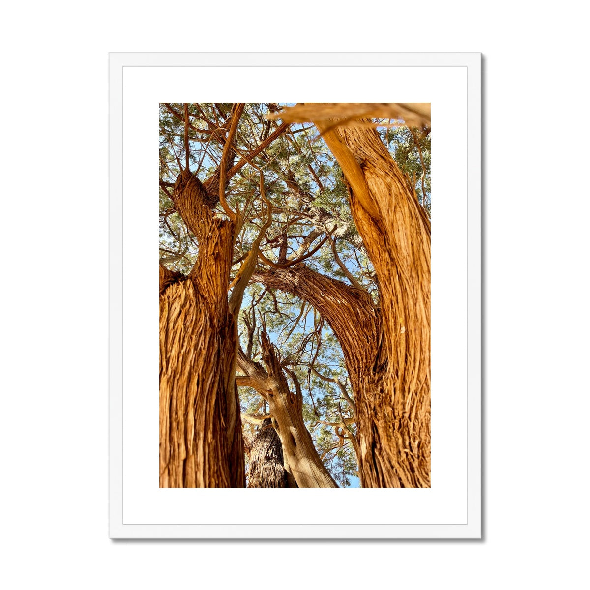 The Soul Tree Framed & Mounted Print