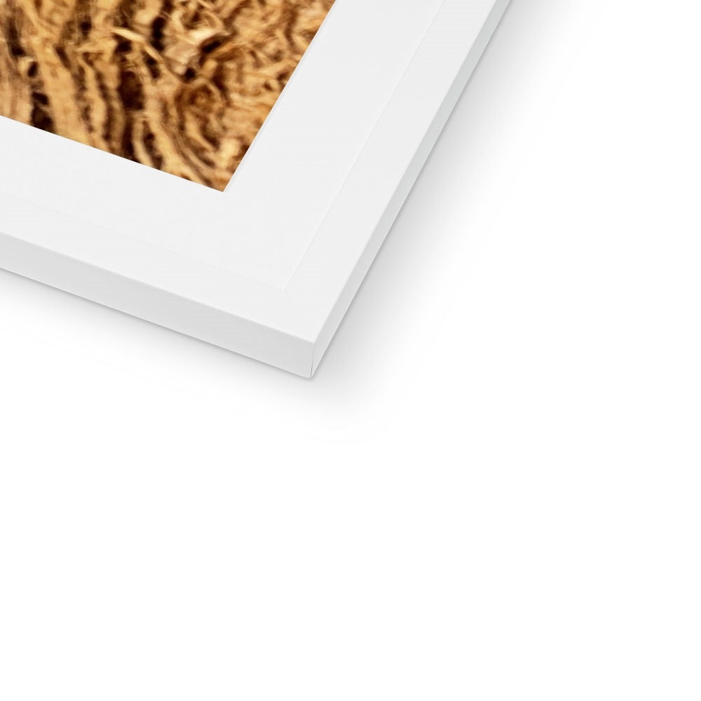 The Soul Tree Framed & Mounted Print