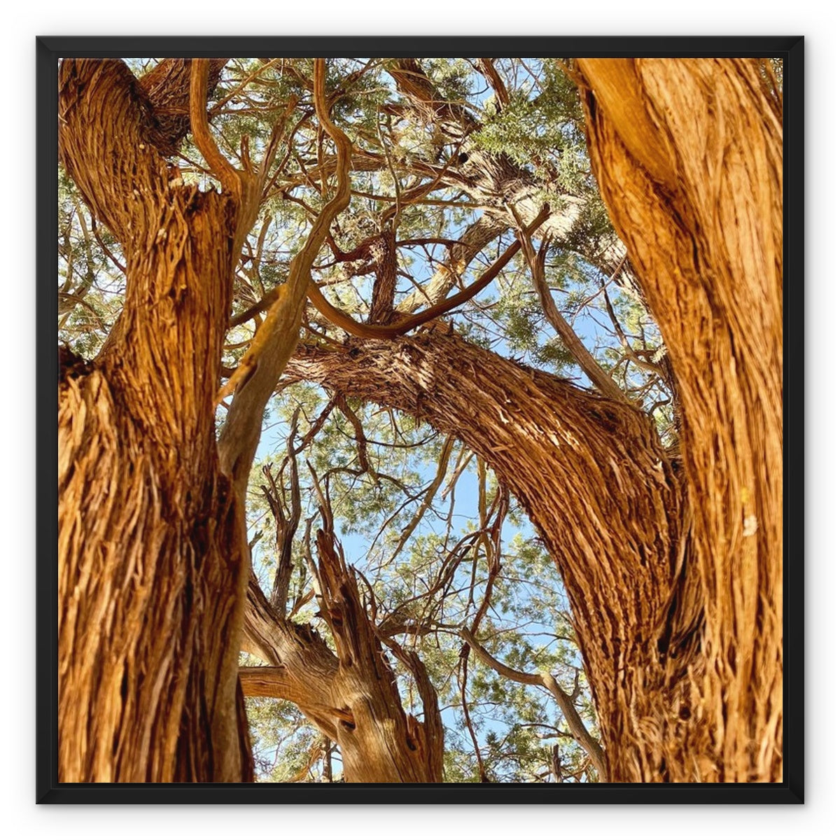 The Soul Tree Framed Canvas