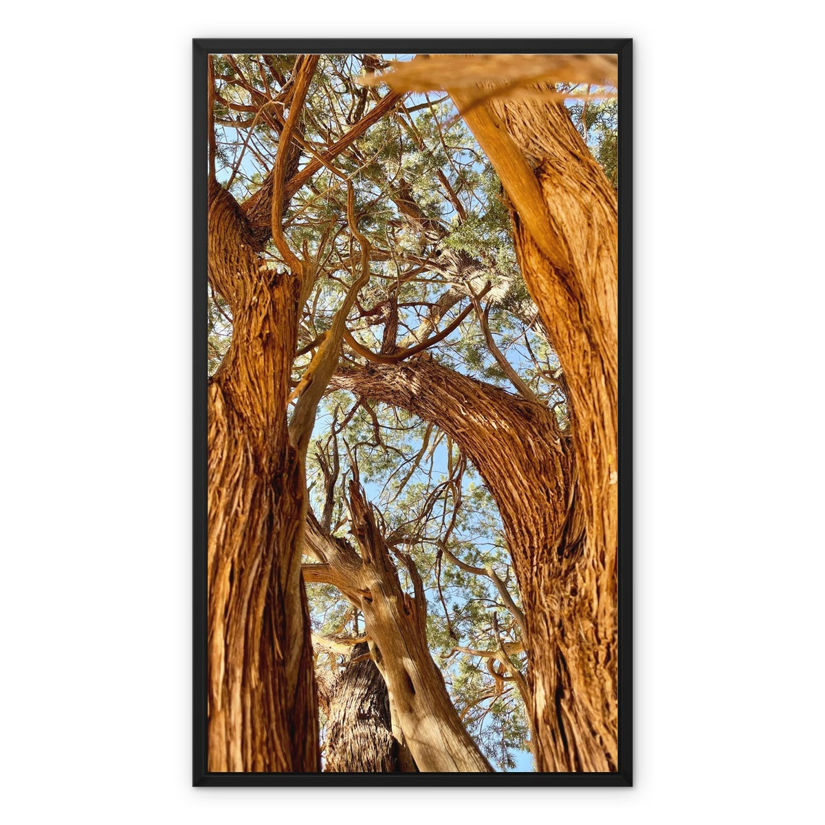 The Soul Tree Framed Canvas