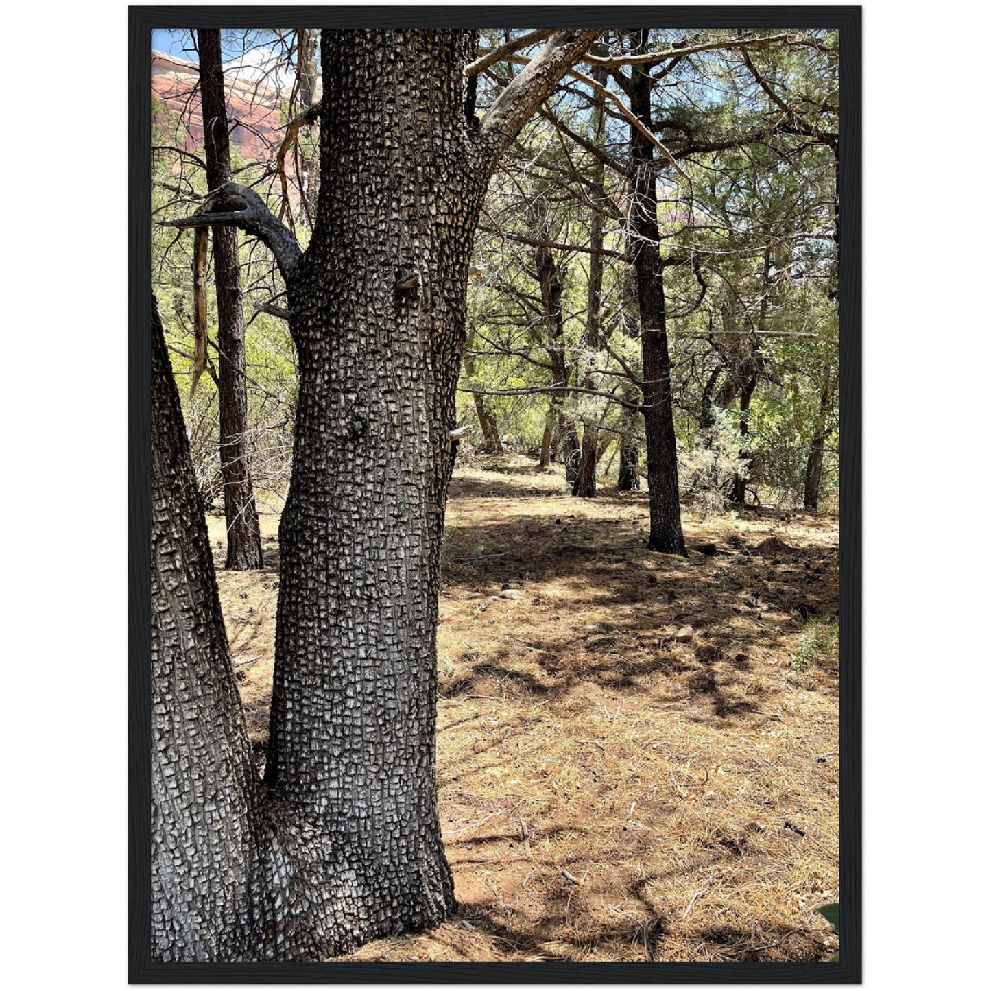 Growth in the Heat Premium Matte Paper Wooden Framed Poster