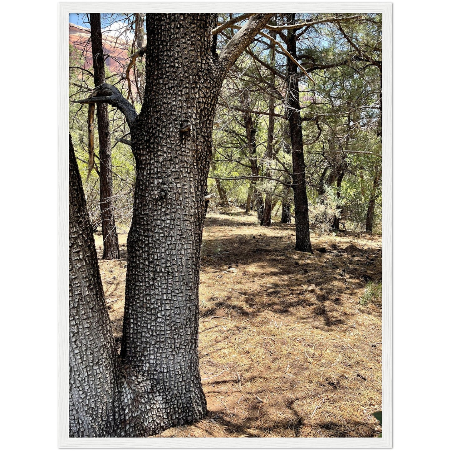 Growth in the Heat Premium Matte Paper Wooden Framed Poster