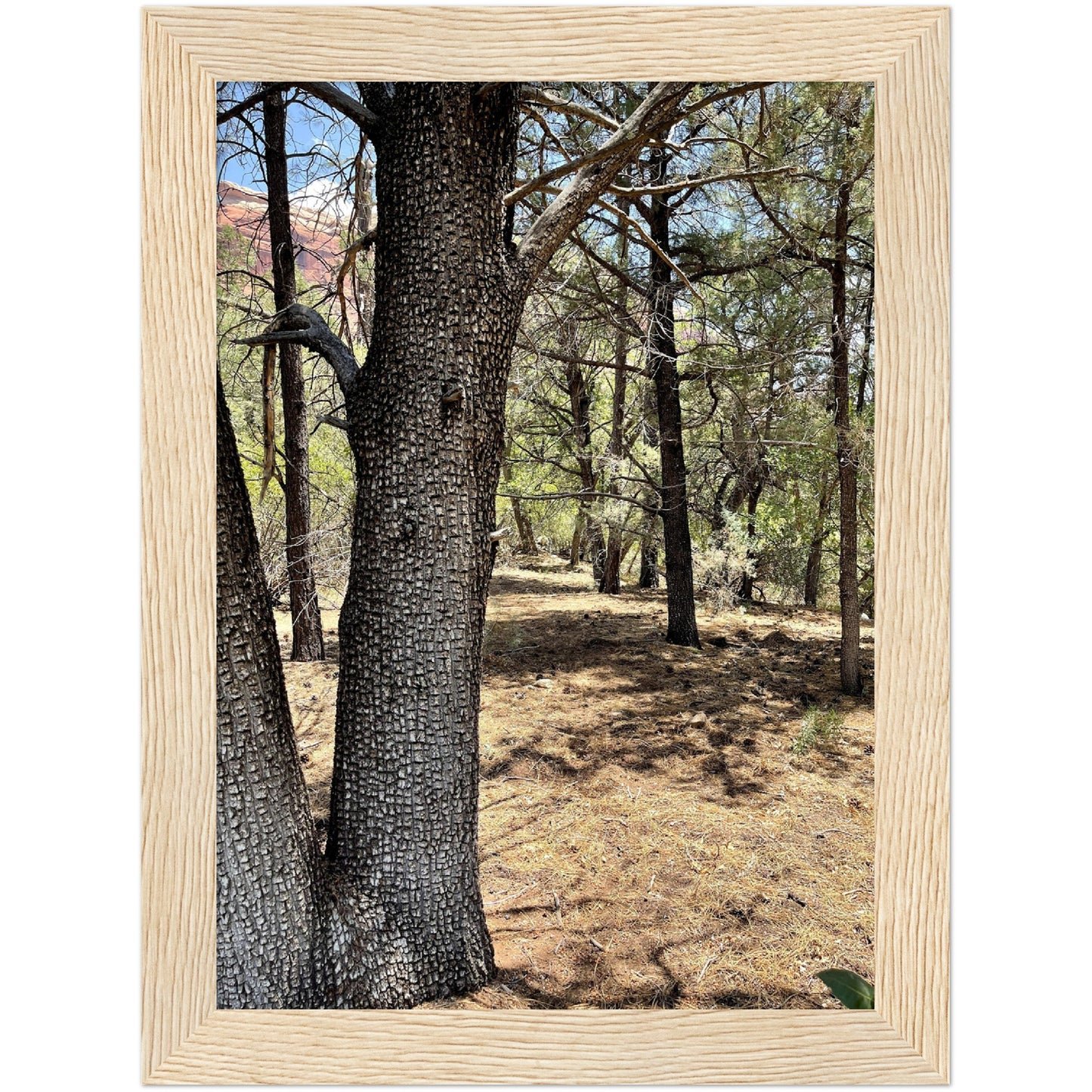 Growth in the Heat Premium Matte Paper Wooden Framed Poster