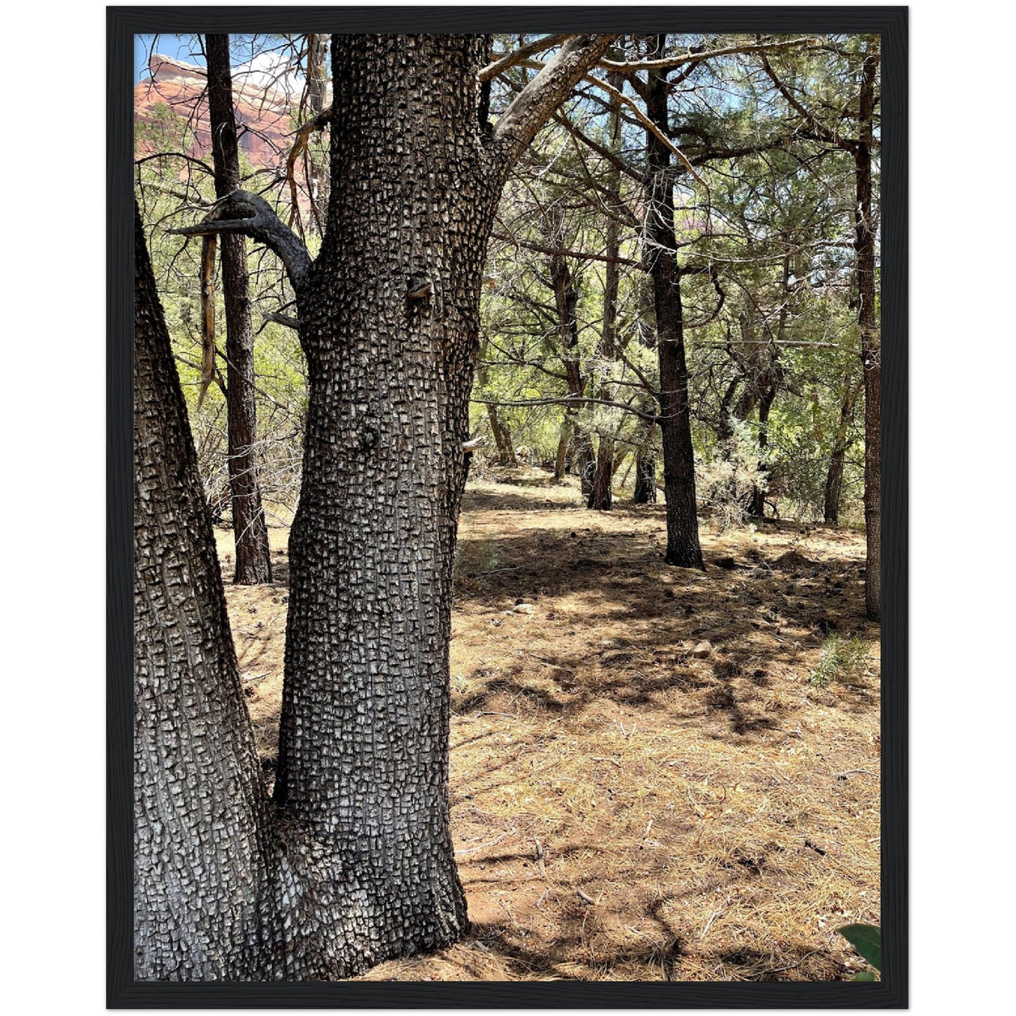 Growth in the Heat Premium Matte Paper Wooden Framed Poster