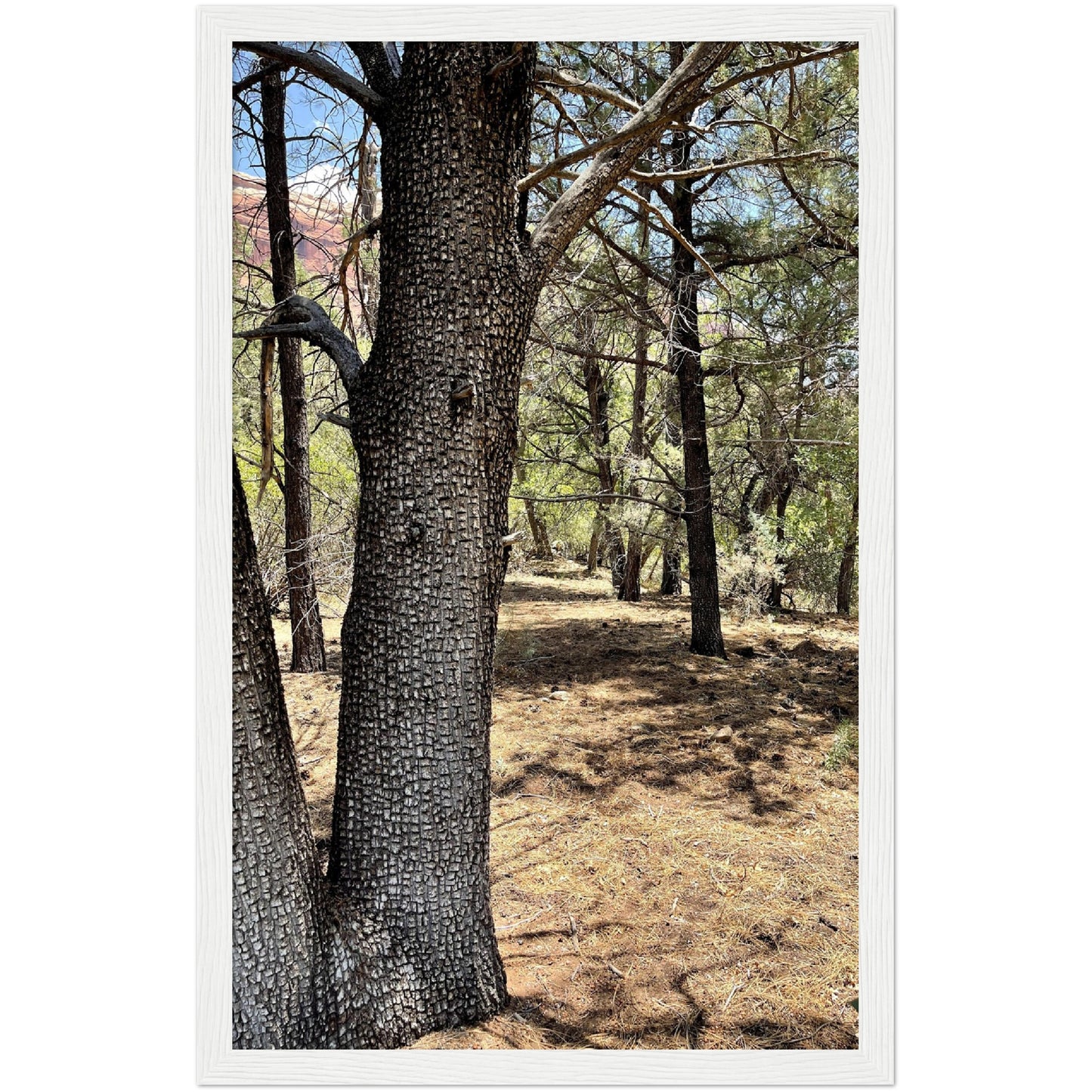 Growth in the Heat Premium Matte Paper Wooden Framed Poster