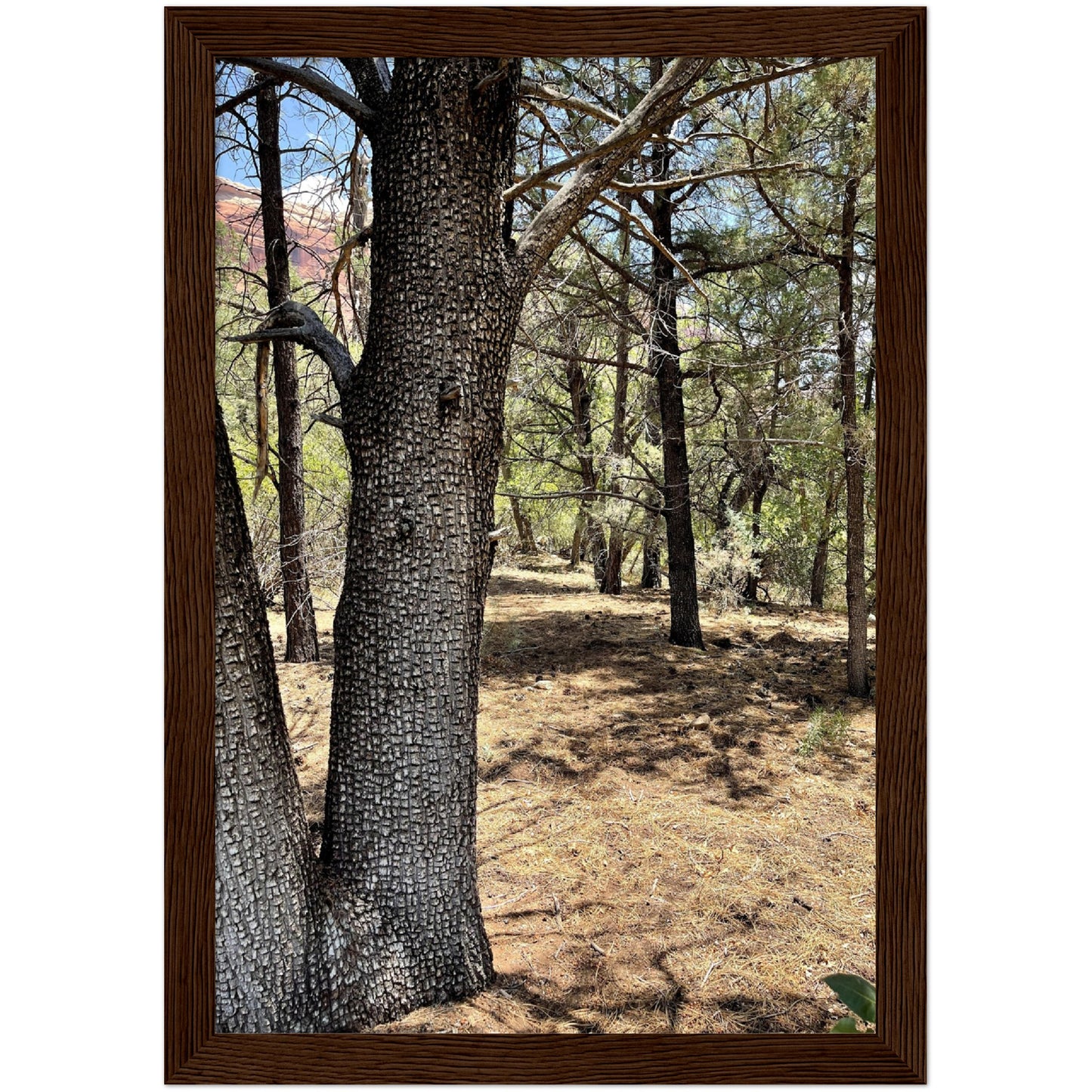 Growth in the Heat Premium Matte Paper Wooden Framed Poster