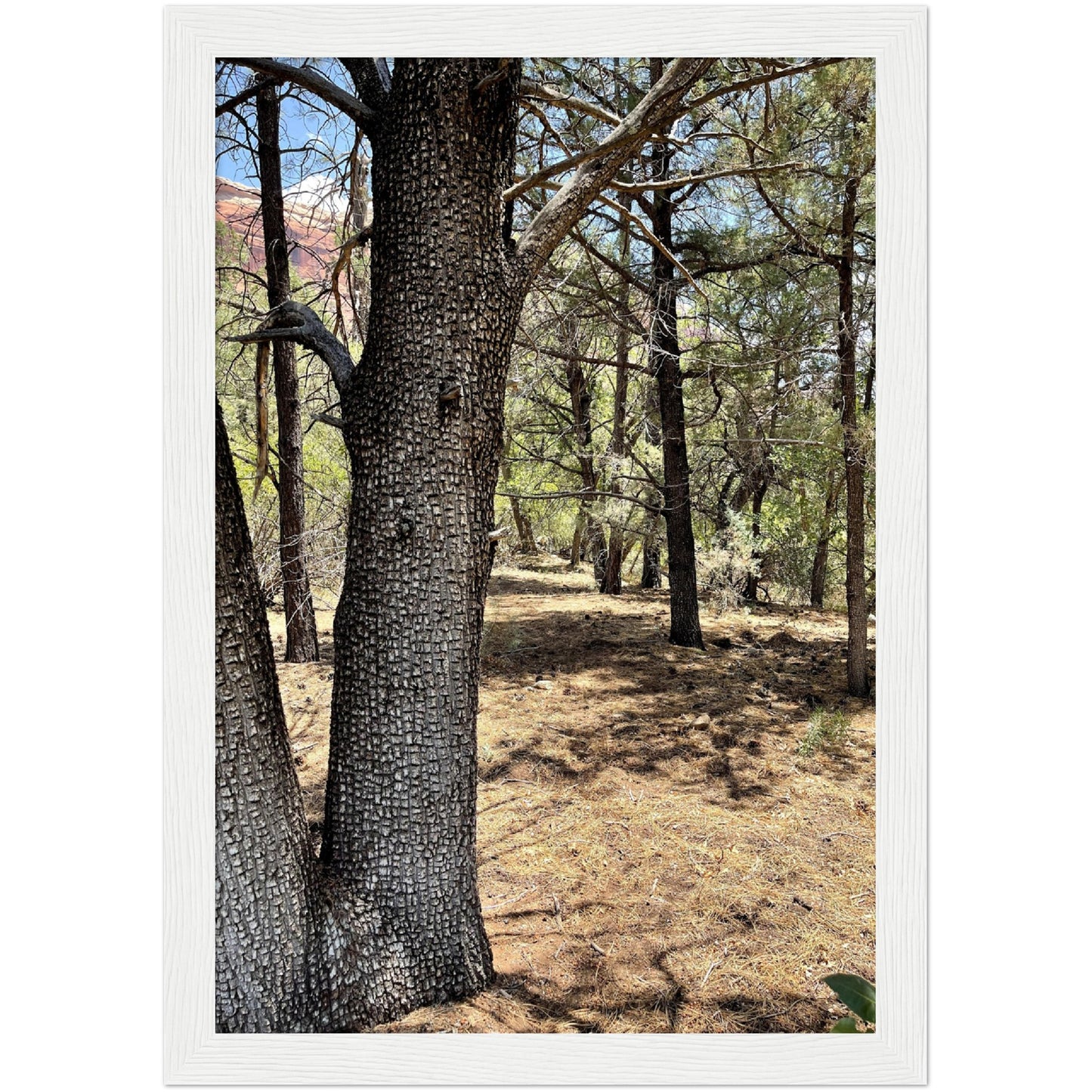 Growth in the Heat Premium Matte Paper Wooden Framed Poster