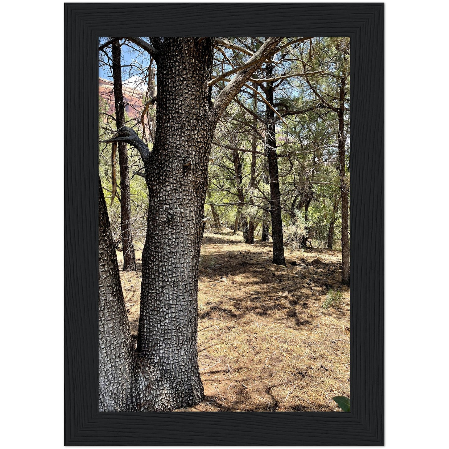 Growth in the Heat Premium Matte Paper Wooden Framed Poster