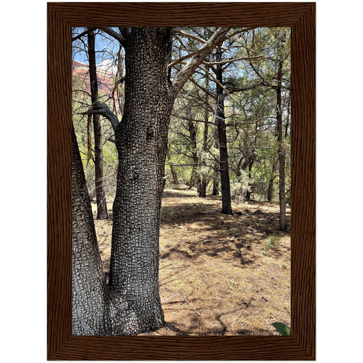 Growth in the Heat Premium Matte Paper Wooden Framed Poster