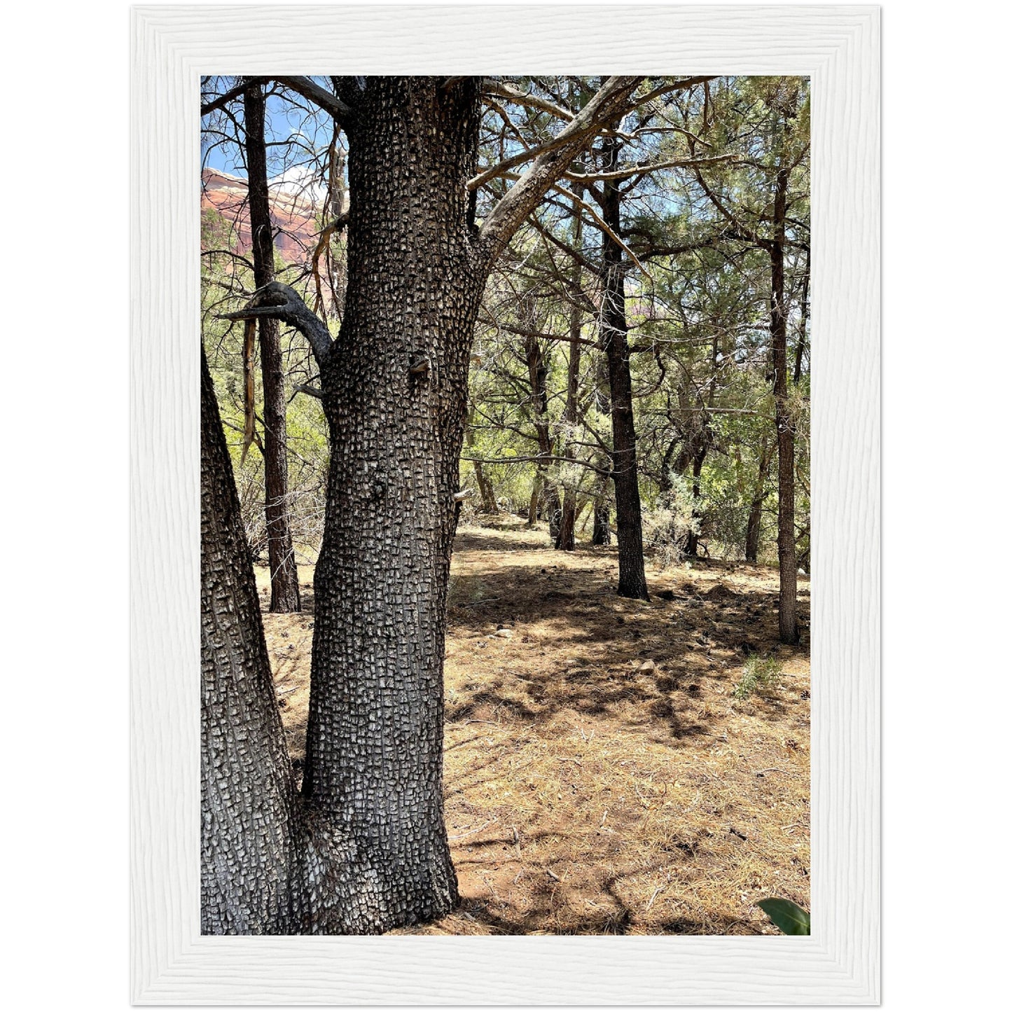 Growth in the Heat Premium Matte Paper Wooden Framed Poster