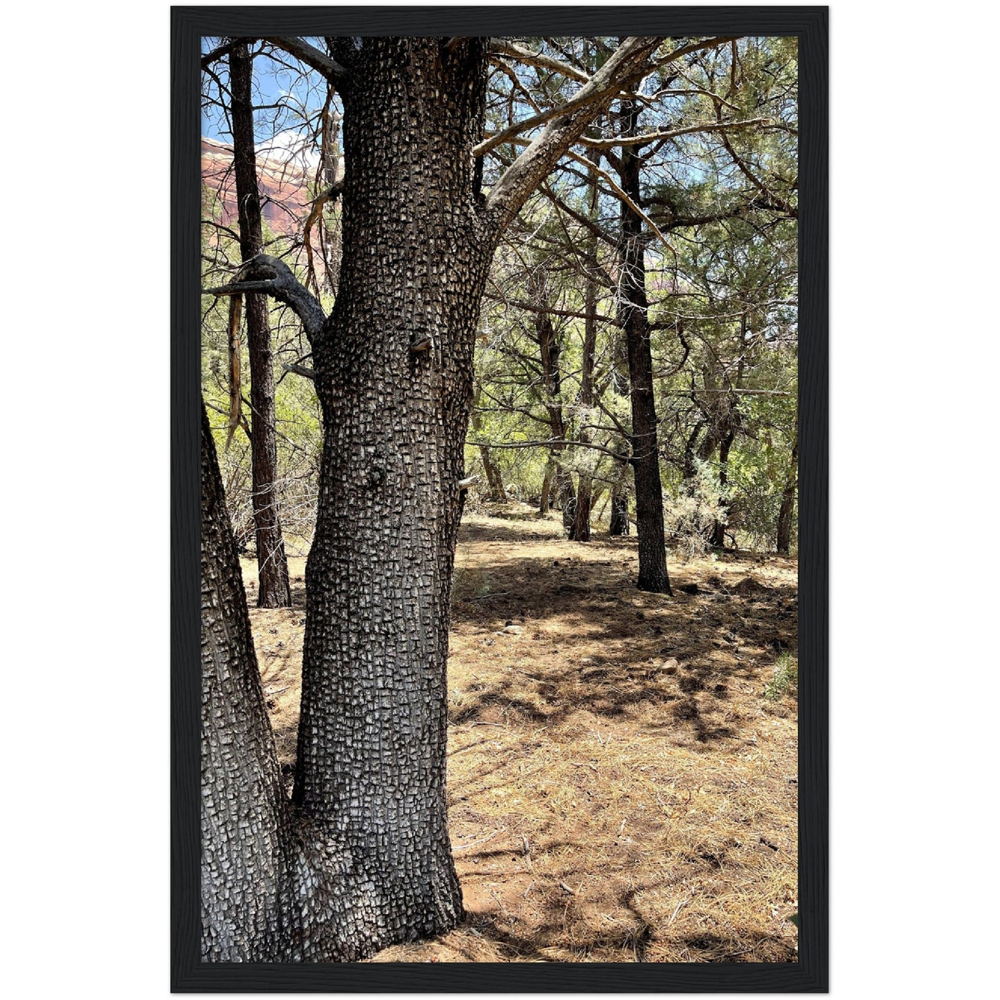 Growth in the Heat Premium Matte Paper Wooden Framed Poster